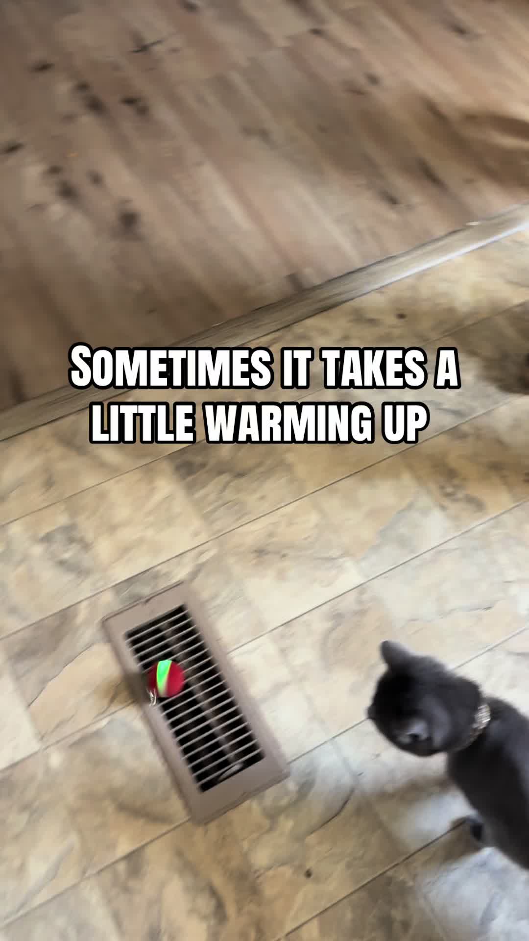 @Taz Mania
