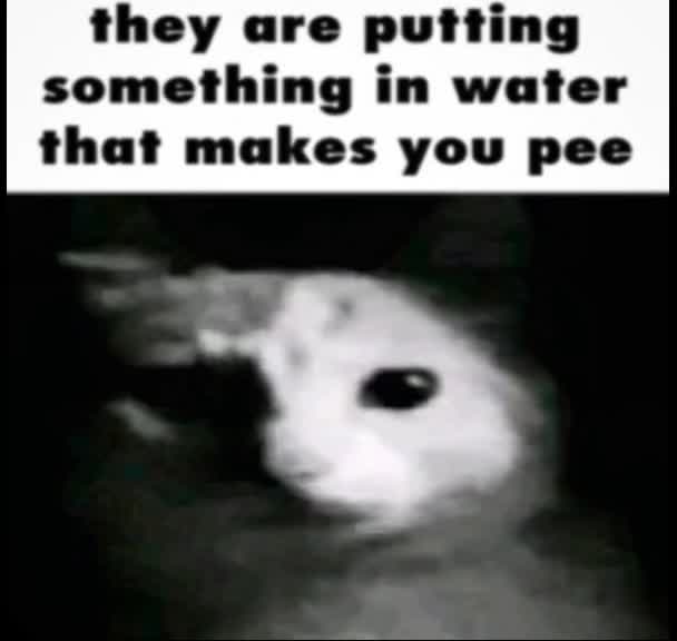 @Adamior