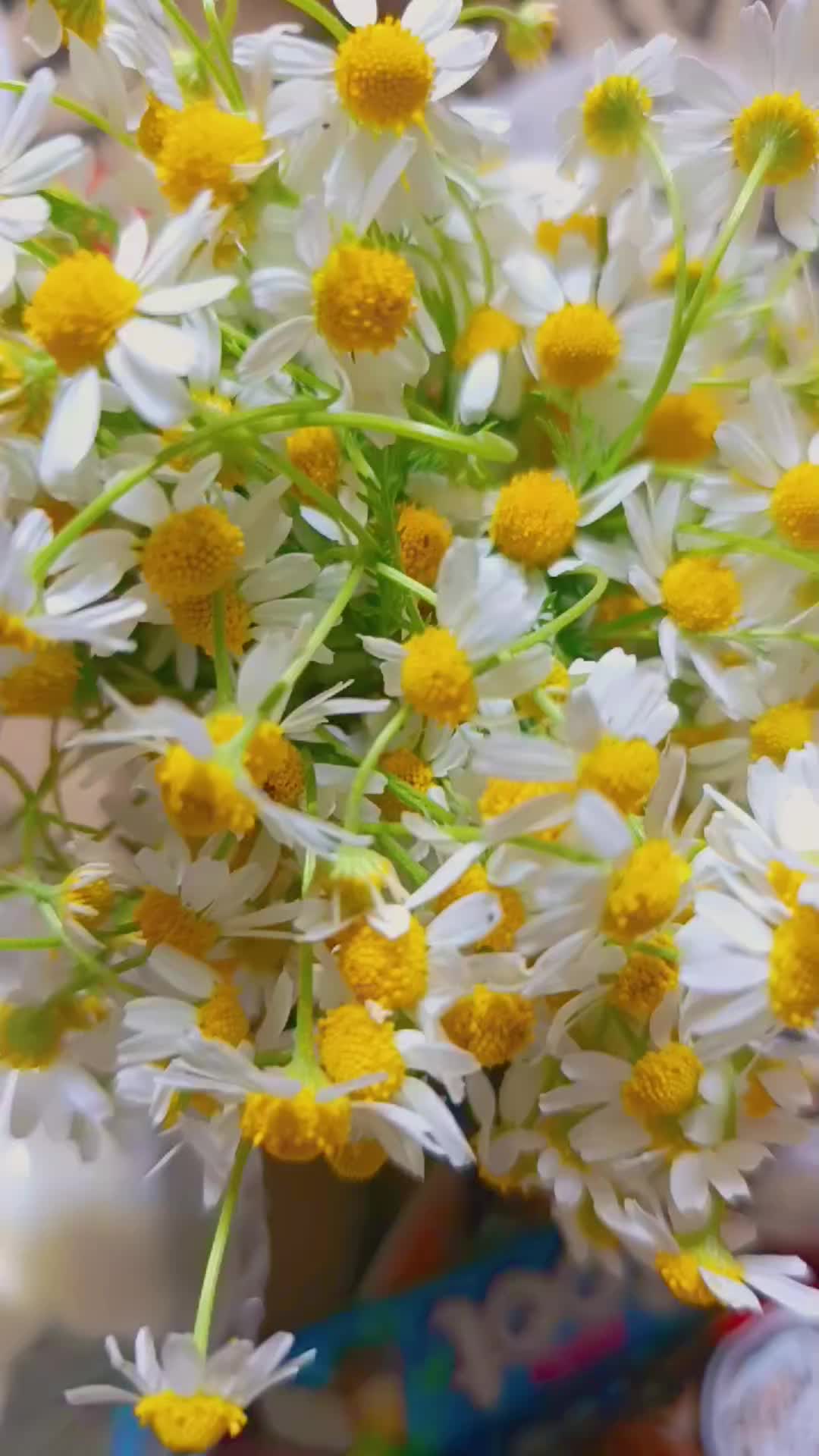 @هناء عبدالرزاق