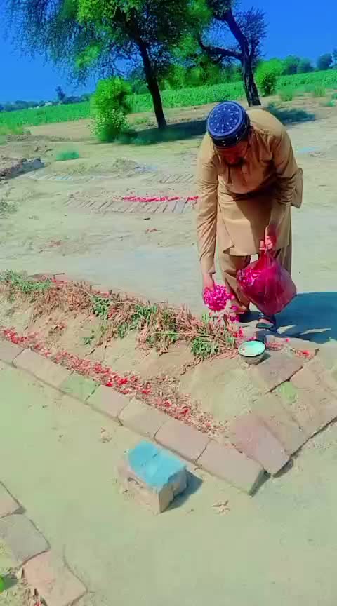 @💖Muazzam Ali 💖💖