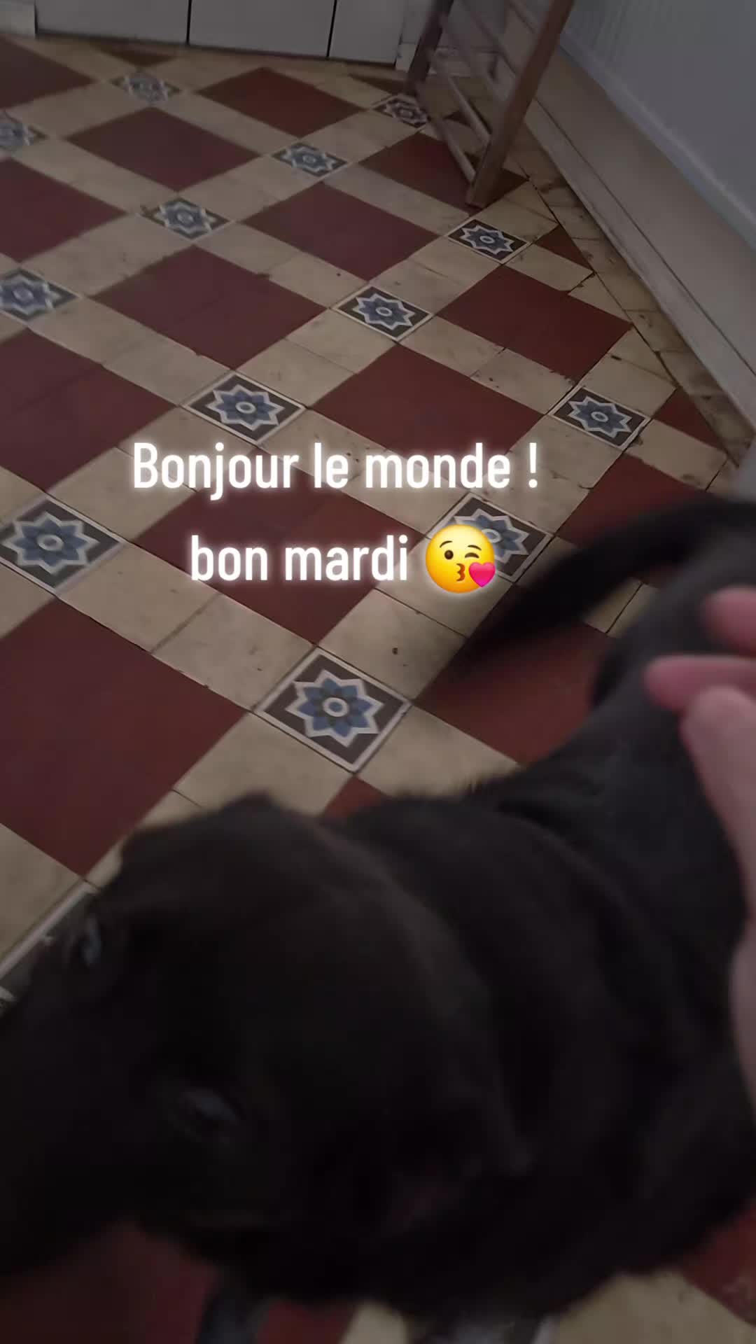 @Jennifer Deleflie