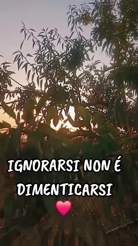 @Silvietta80🩷