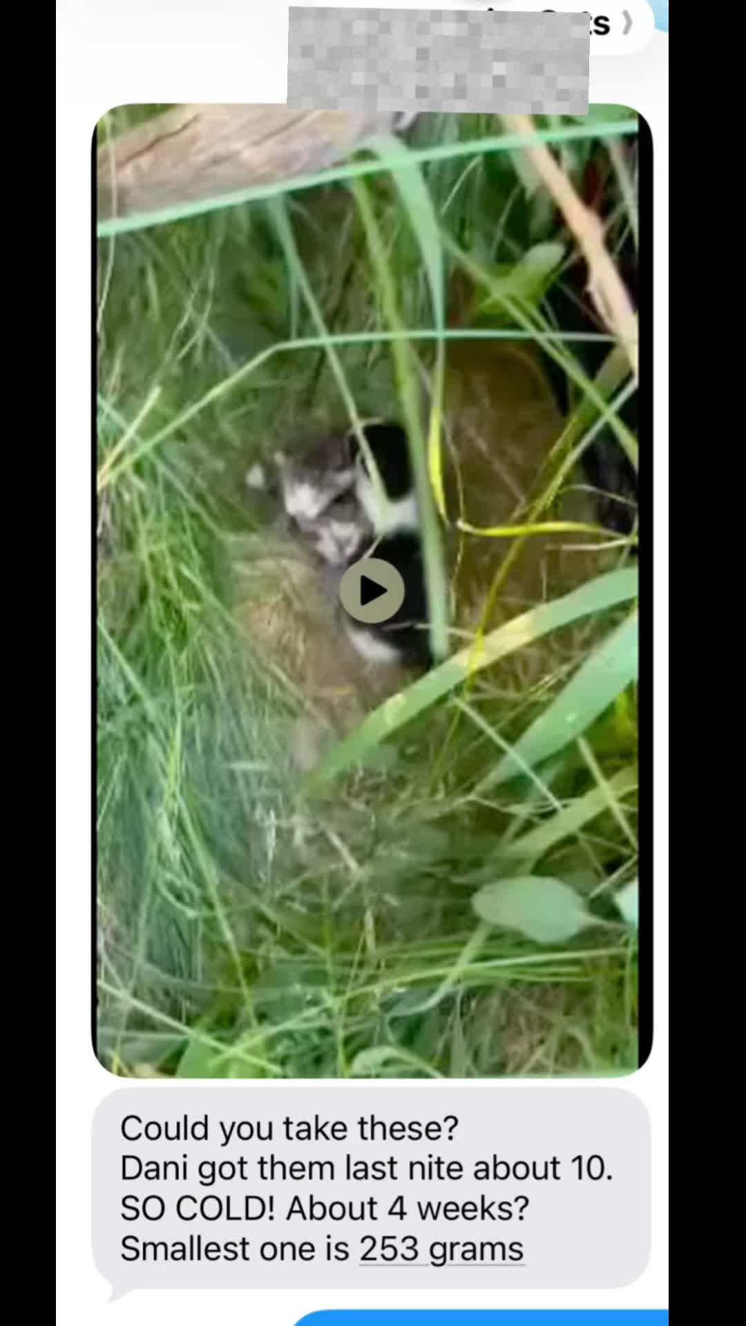 @Kitten.mama