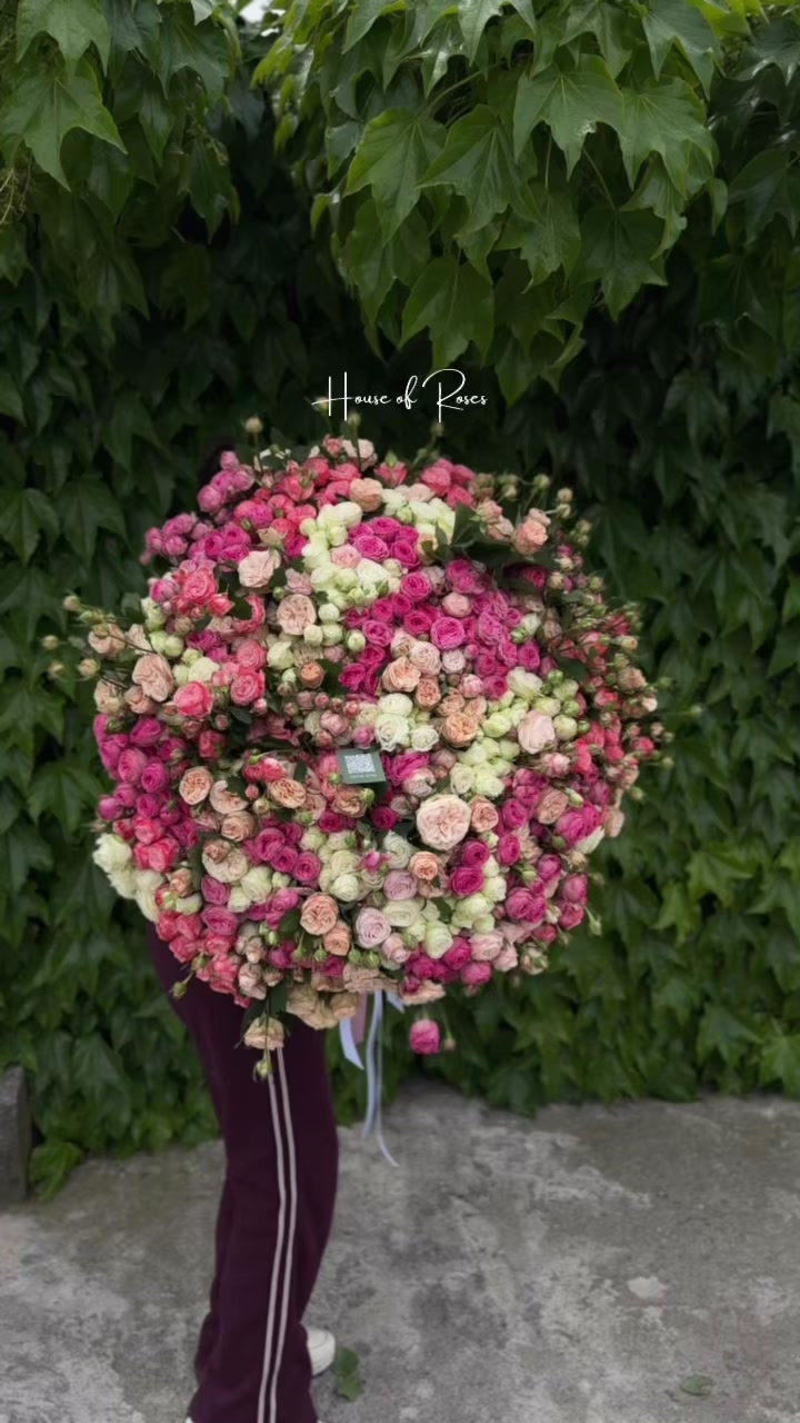 @Թարմ Վարդեր 🌹
