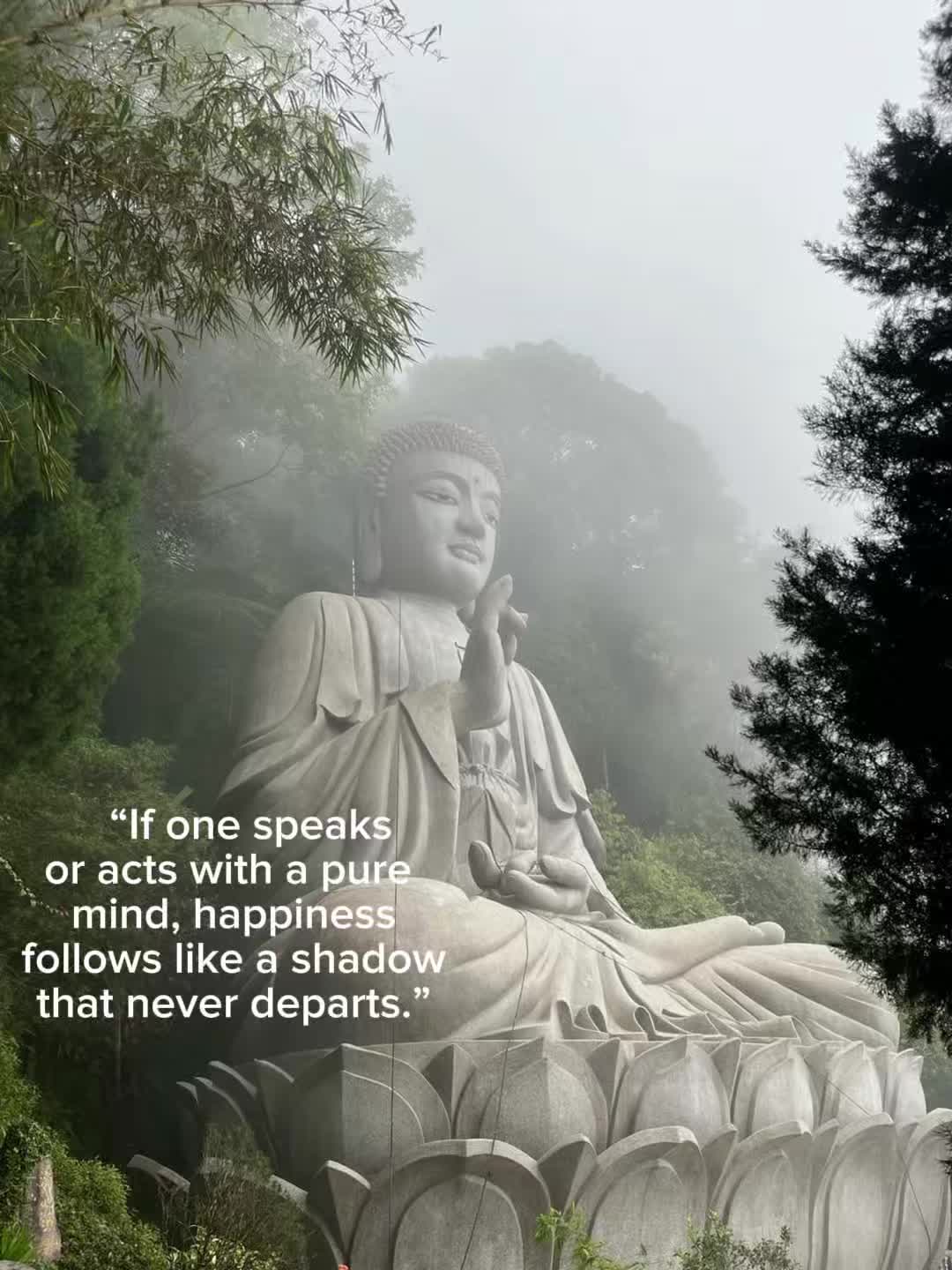 @☸️