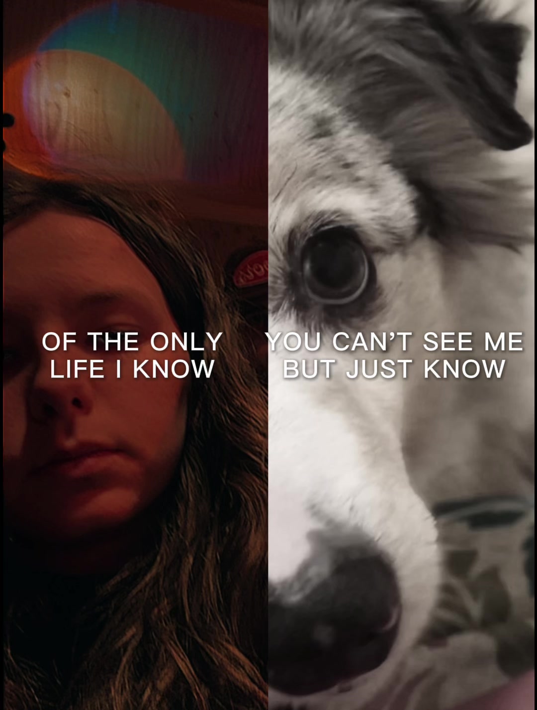 @Lilly Ray 📚⛓️🥵