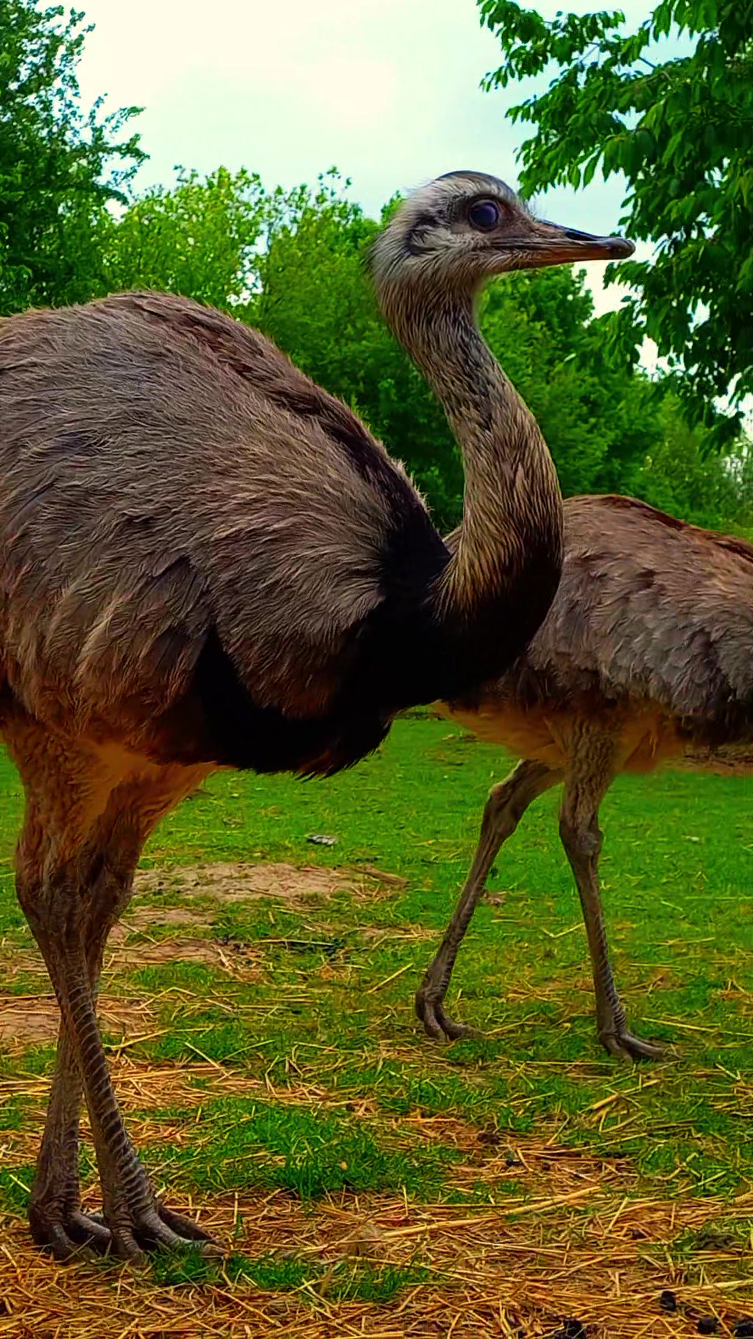 @🦚🆃𝓲𝓮𝓻🅿𝓪𝓻𝓴🆃𝓸𝓴🦚