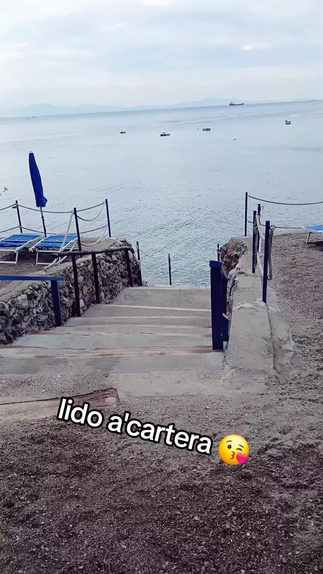 @Teresa Fraschetti