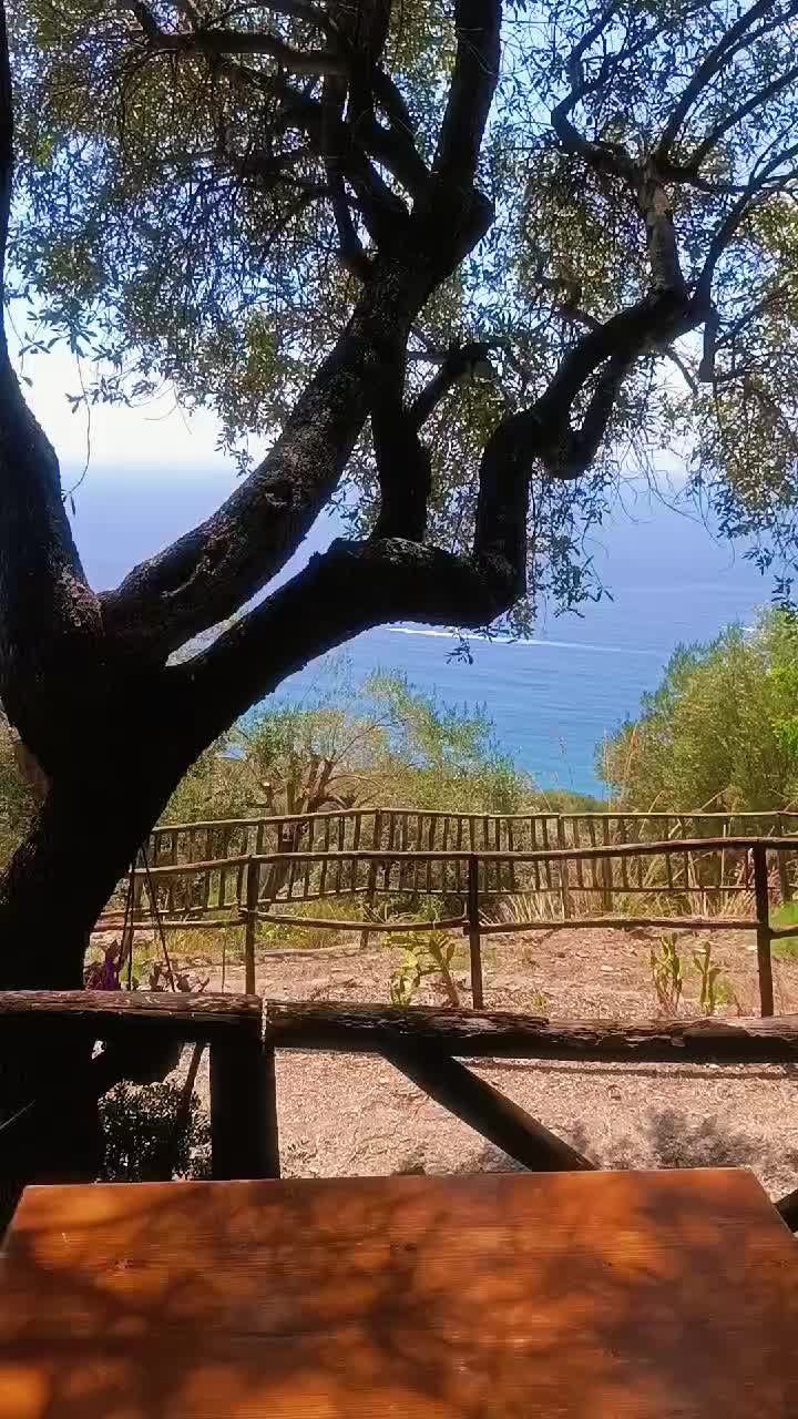 @Indomabile 🩷