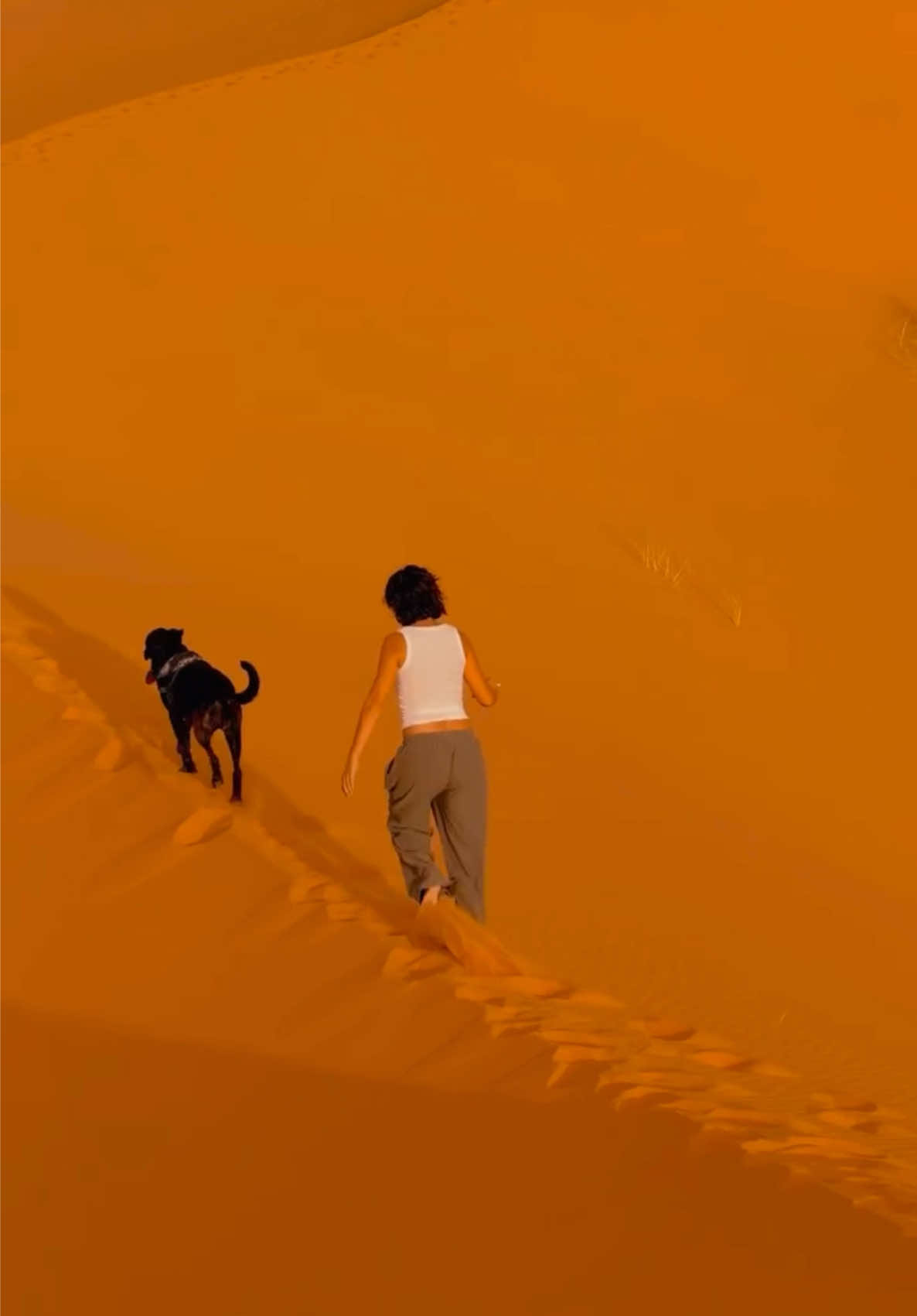 @Merzouga Globe 🌎