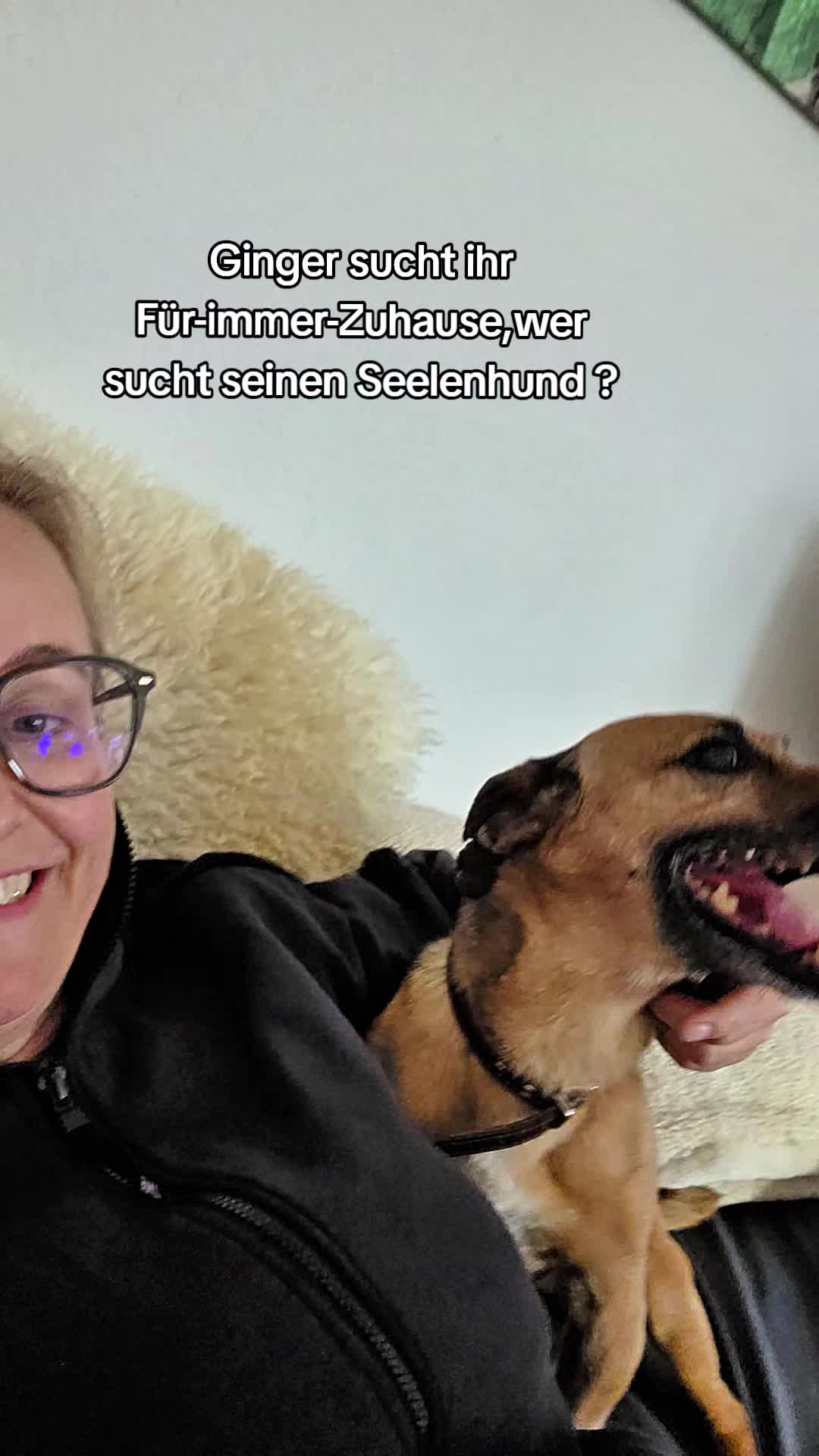 @DAS WUFF HAUS