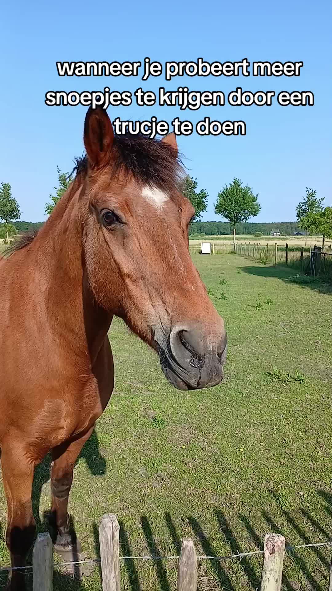 @Sjo's farmvideos