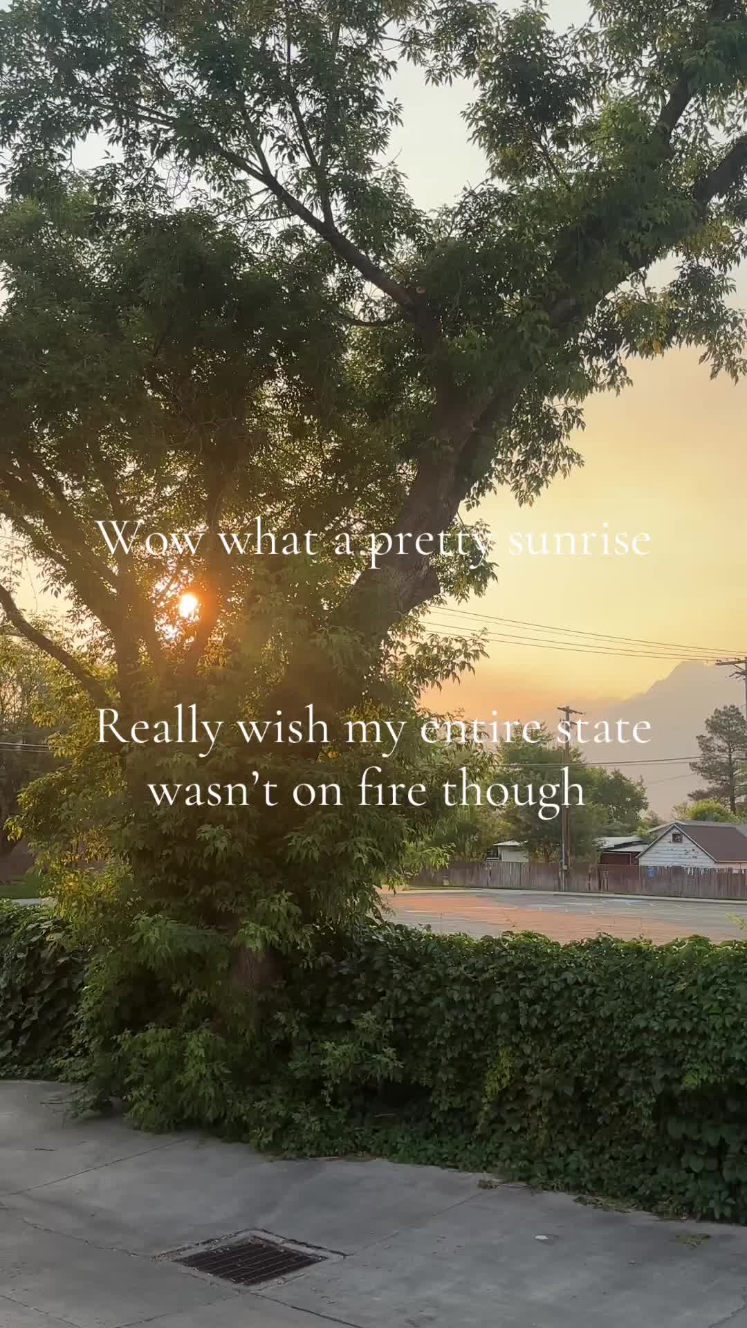 @Kristy