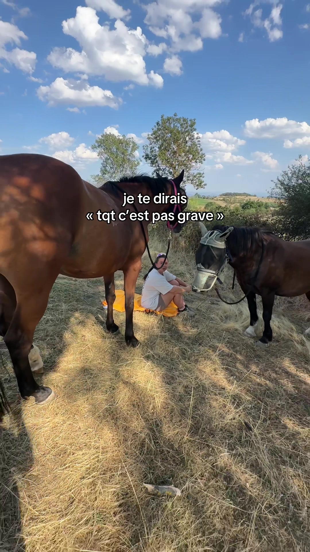 @Seren the pony 🐴