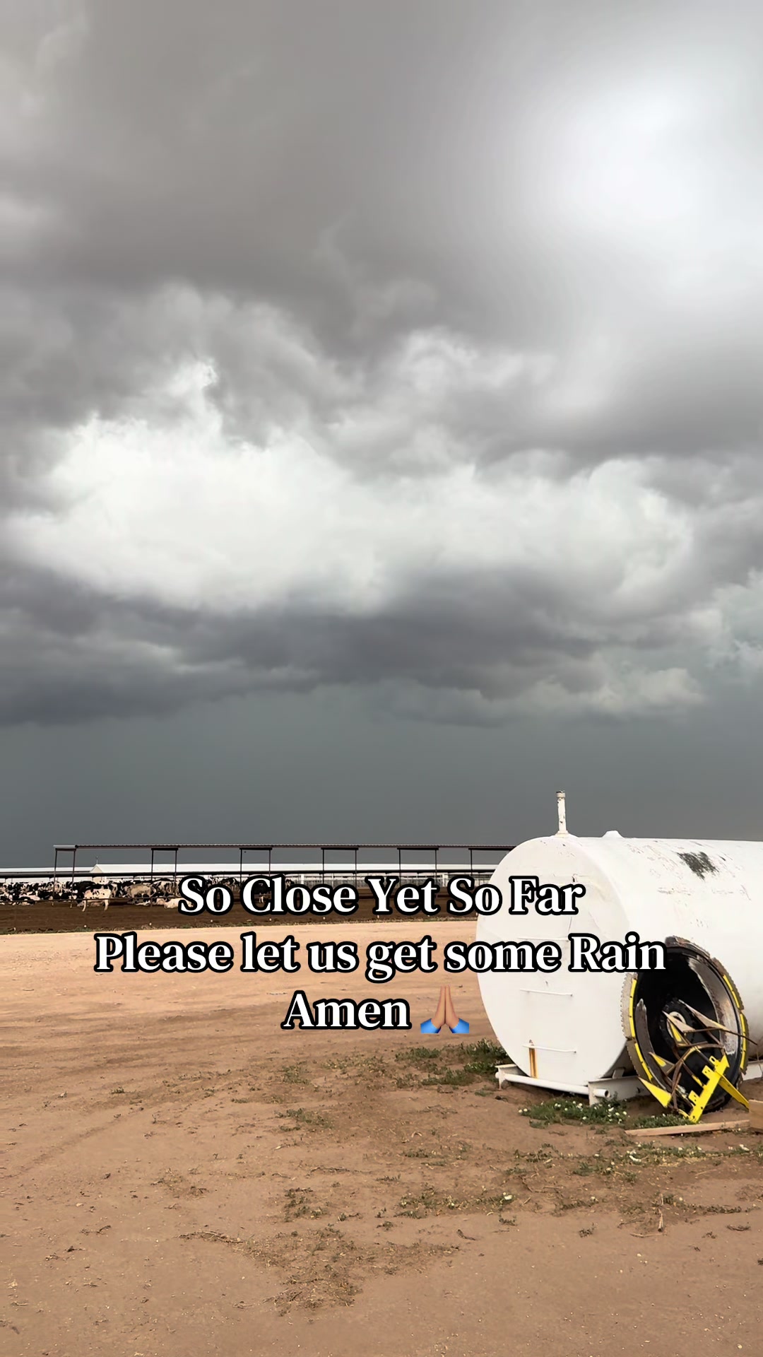 @806Texas