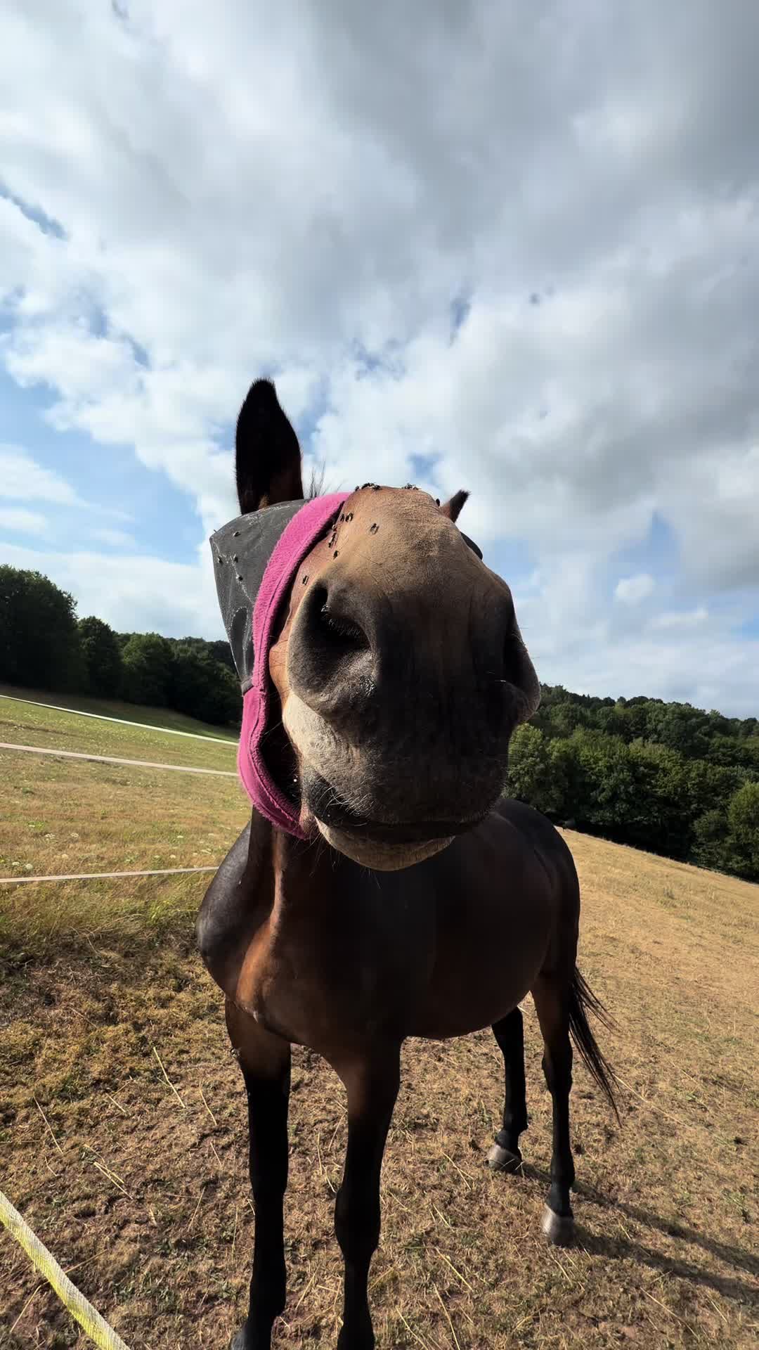@✨💗