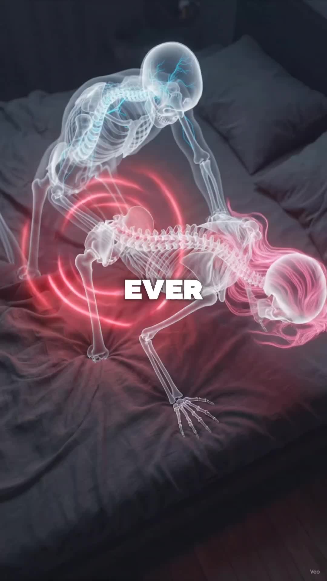 @horselife015