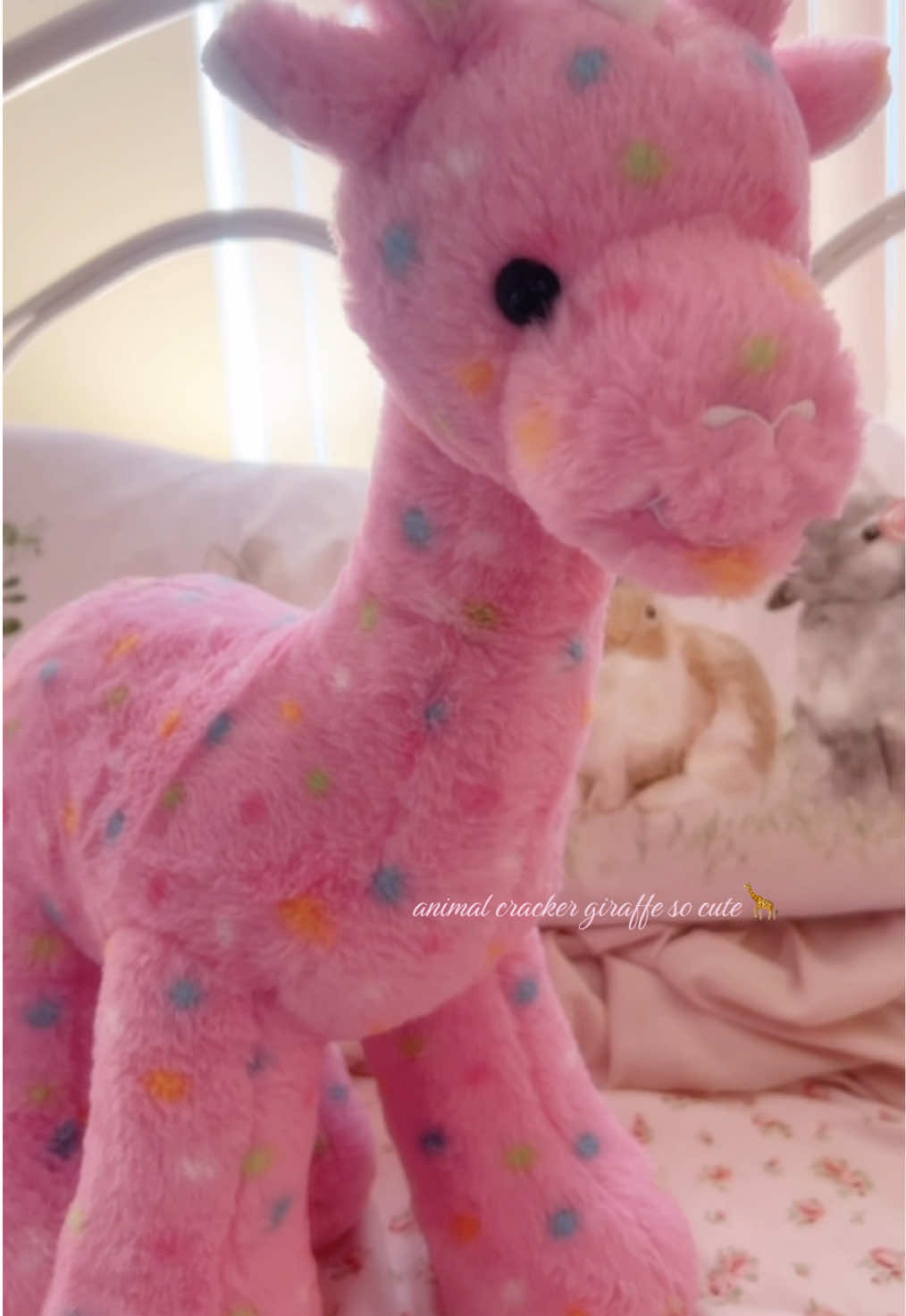 @littllteddybear