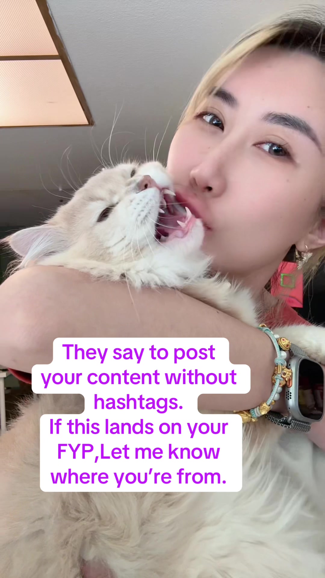 @WaggingTales