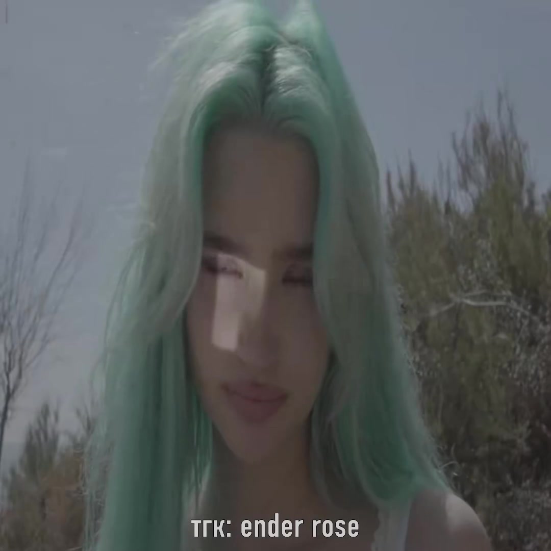 @Ender Rose