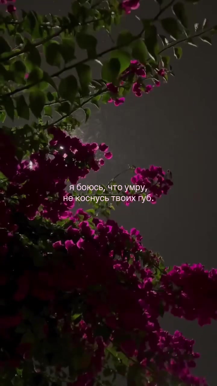 @lifefrommyeyes