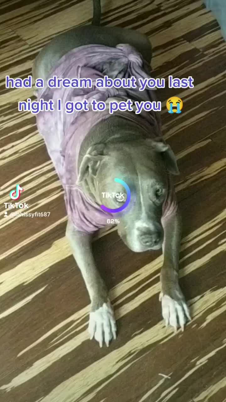 @lahissyfit687
