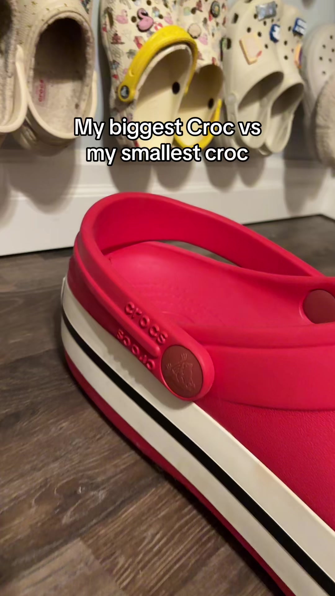 @Croc Queen👑