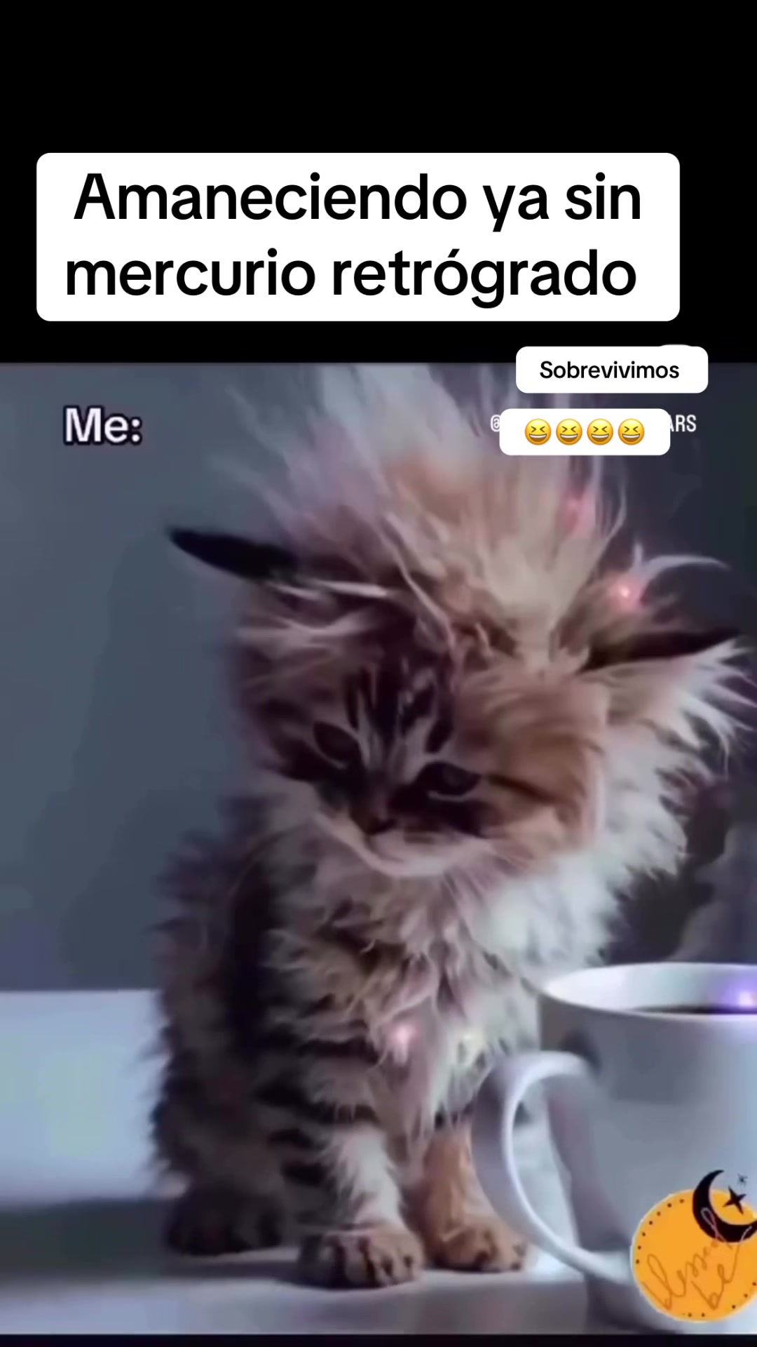 @VictoriaEsenciaHolistica