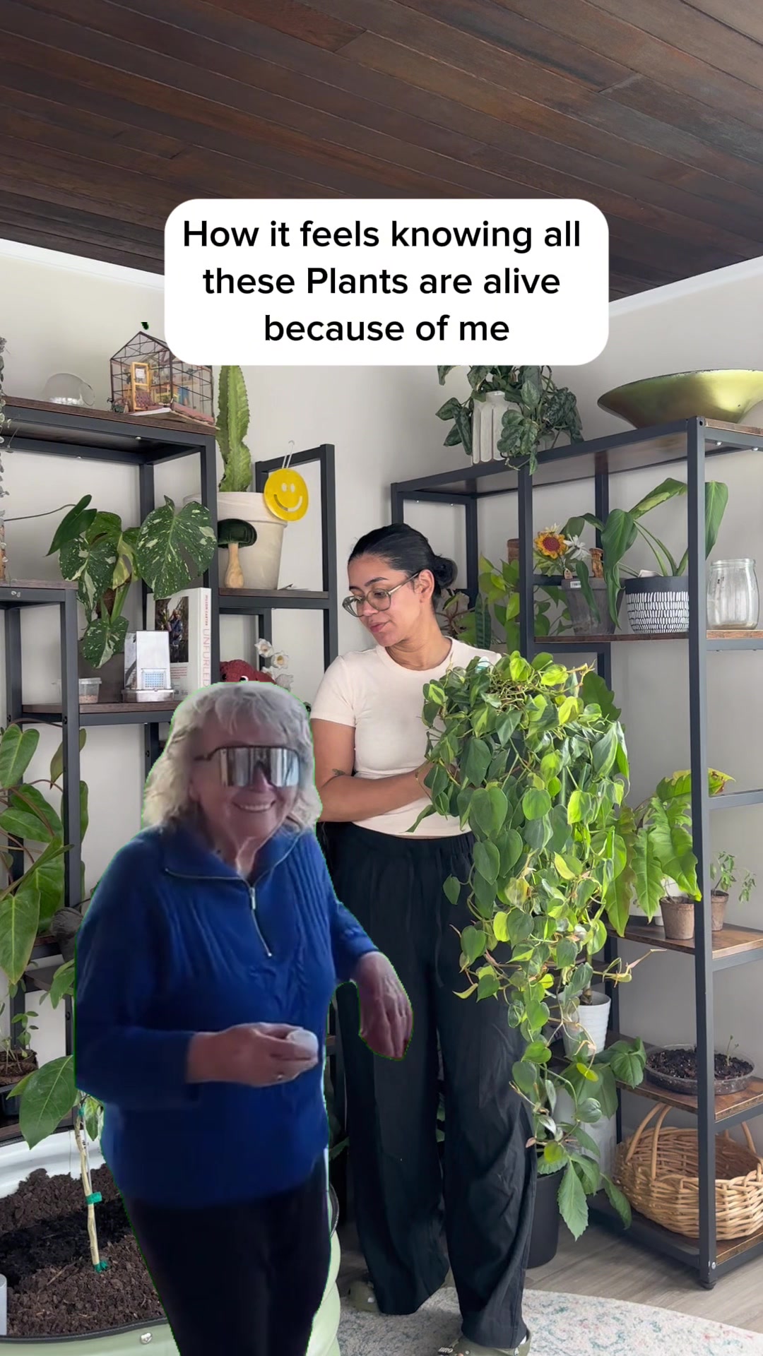 @Plantiiplants
