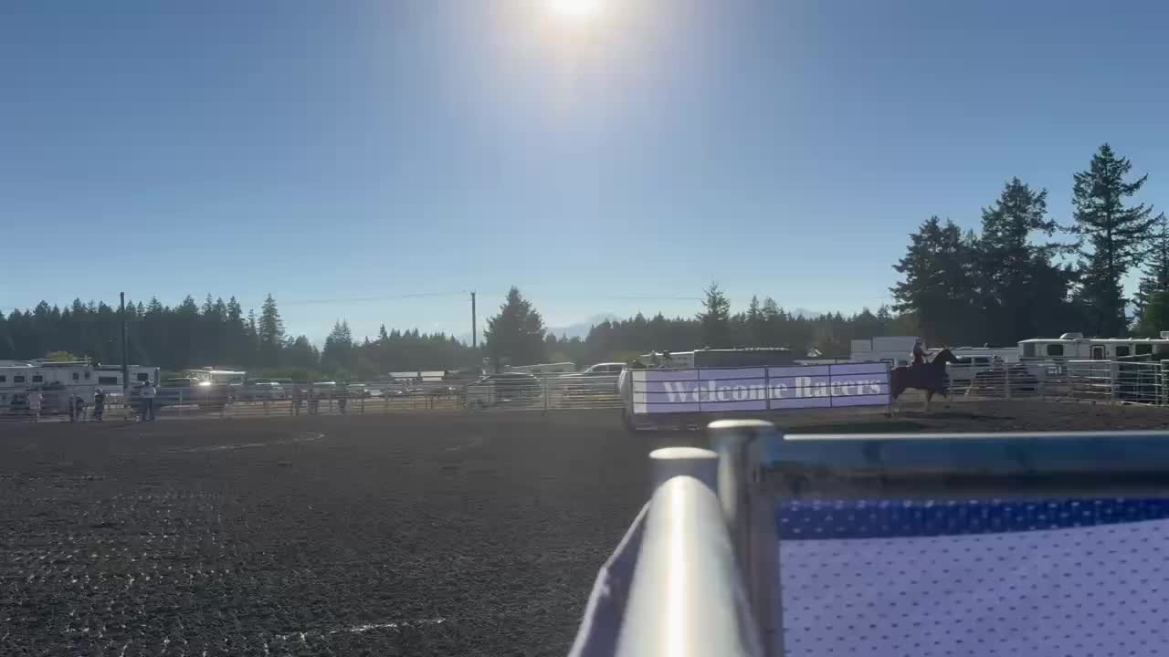 @TF Performance Horses