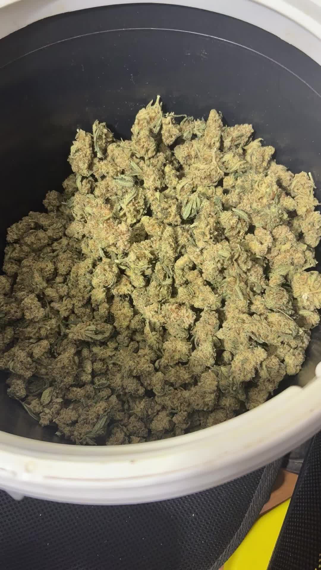 @DerekFkn4rl