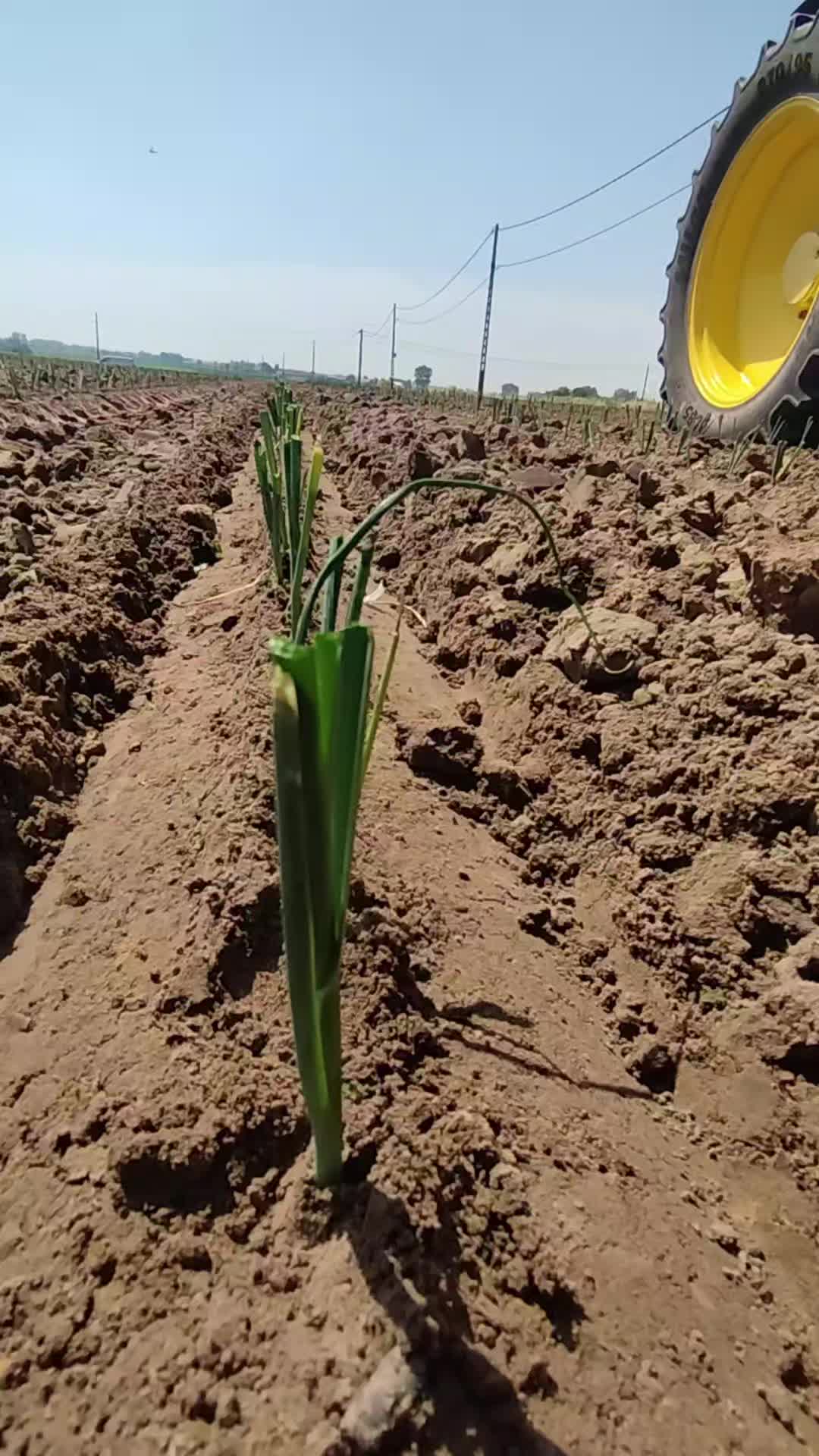 @Agriplant
