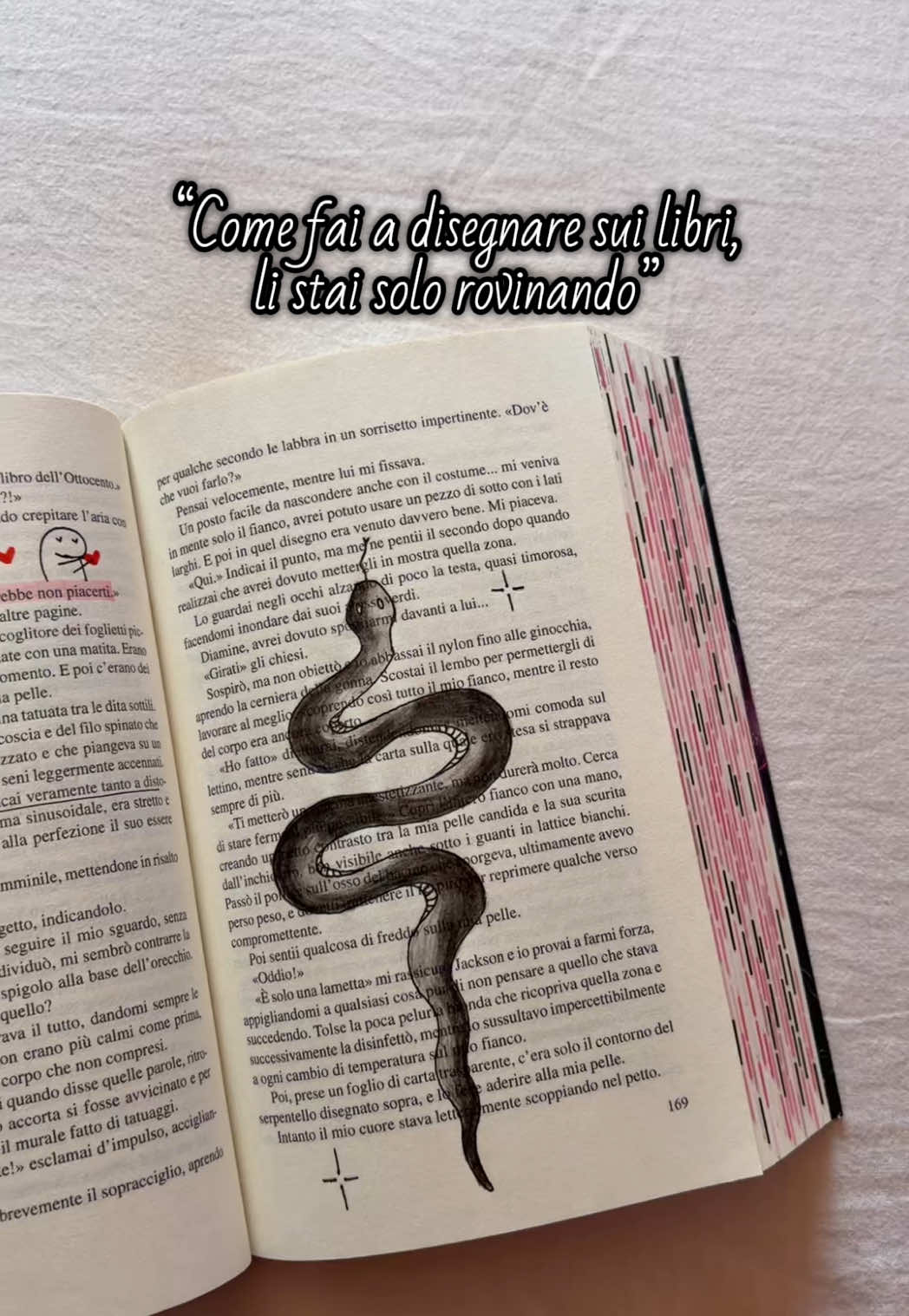 @đşđđđđ’đ đđđđđđˇ