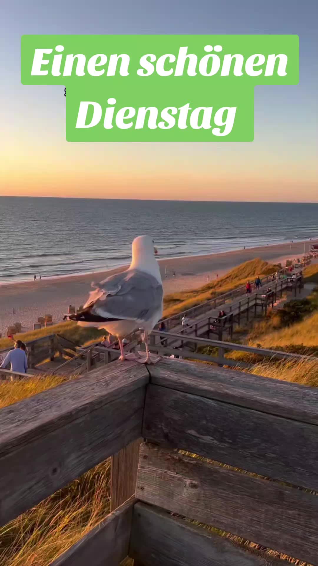 @geistlein12