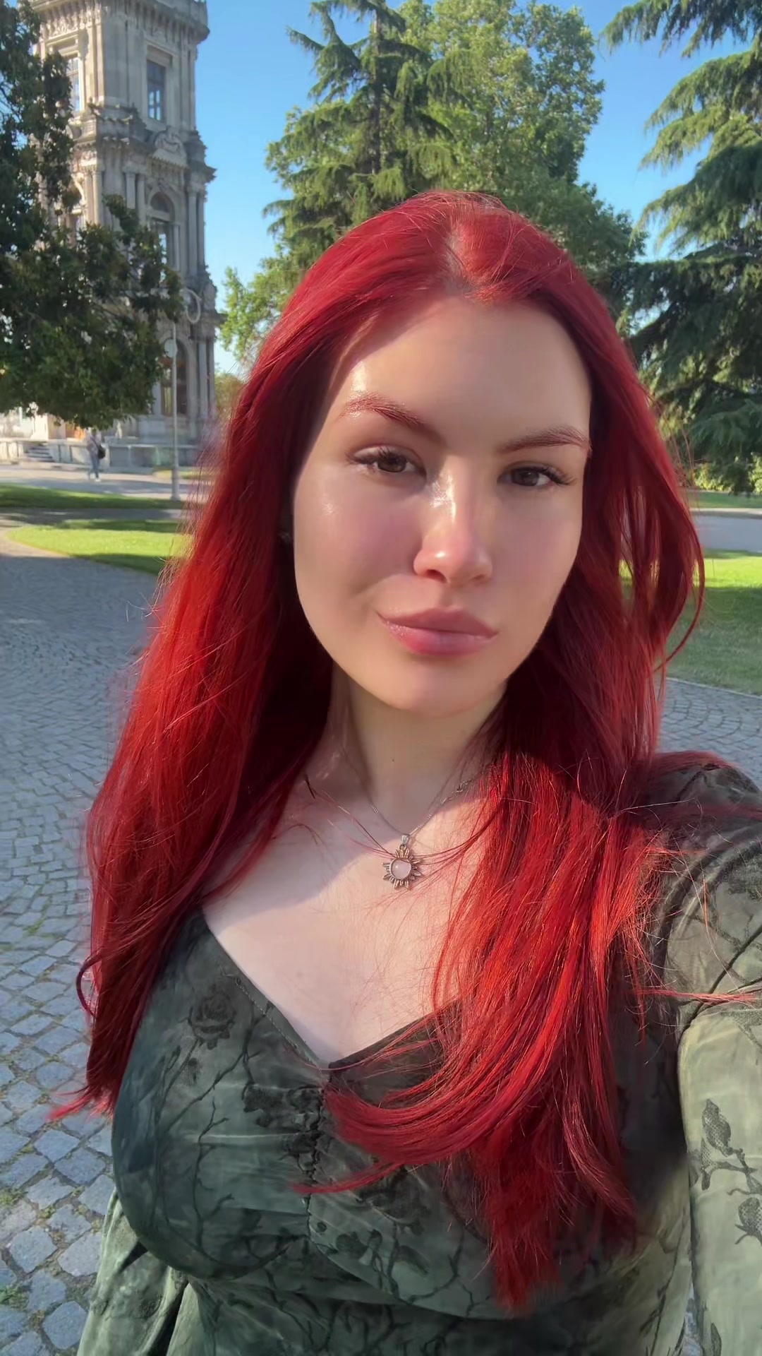 @dvbonbon
