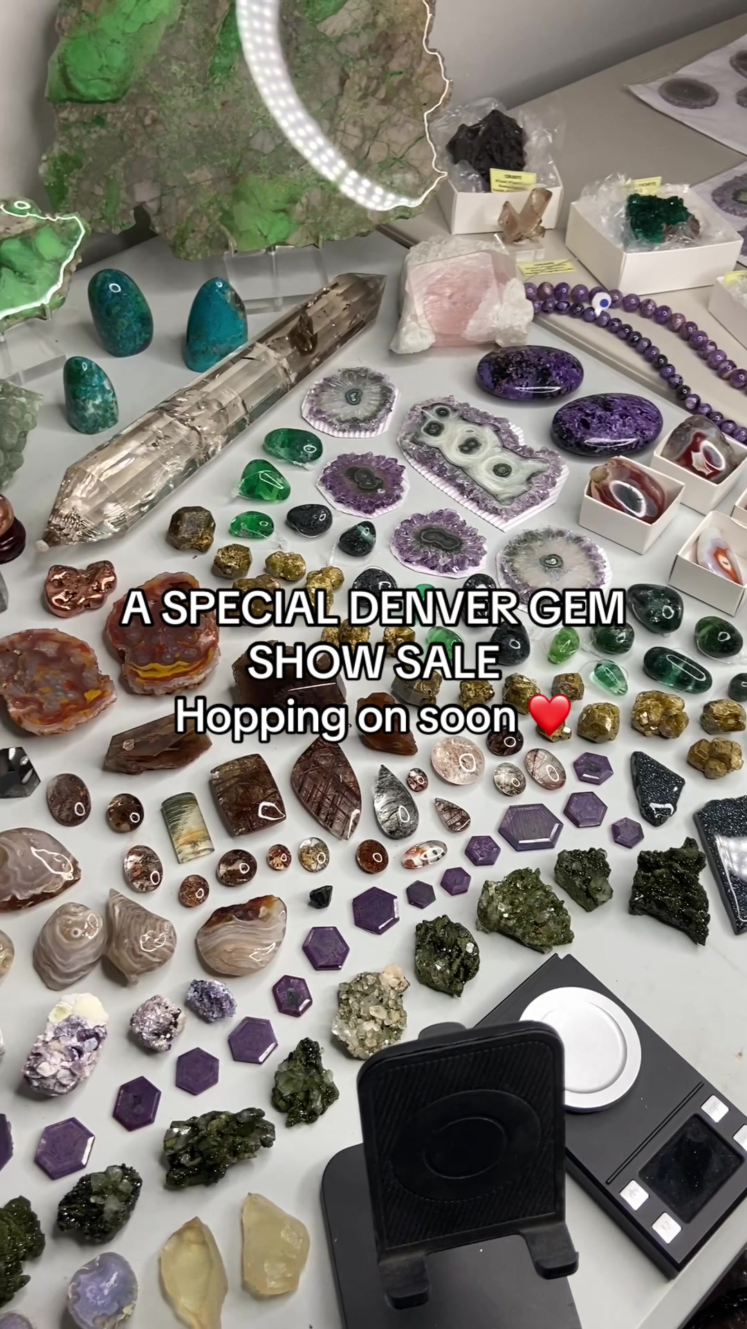 @🔮CrystalPacifica🔮