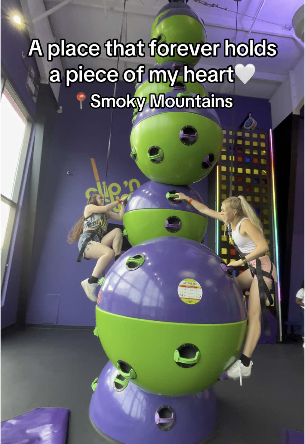 @The Treehouse Family