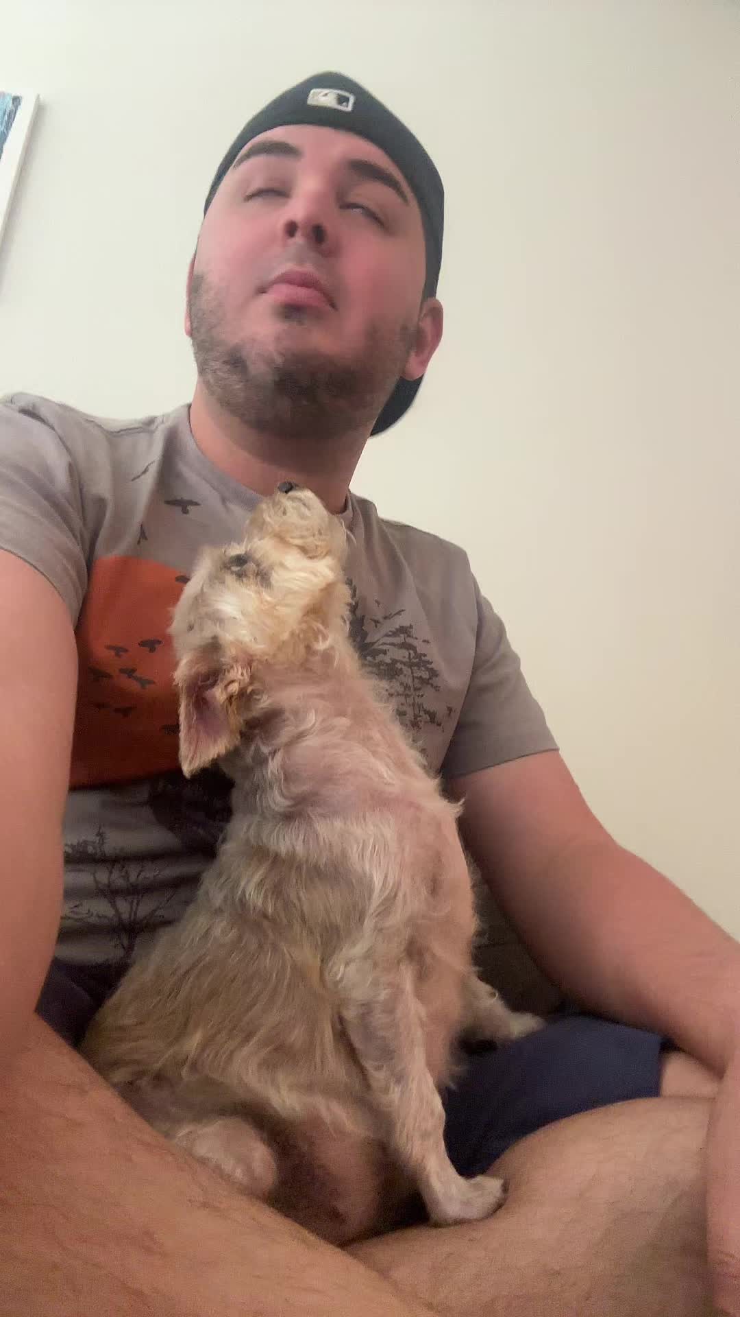 @Jesús Fernando
