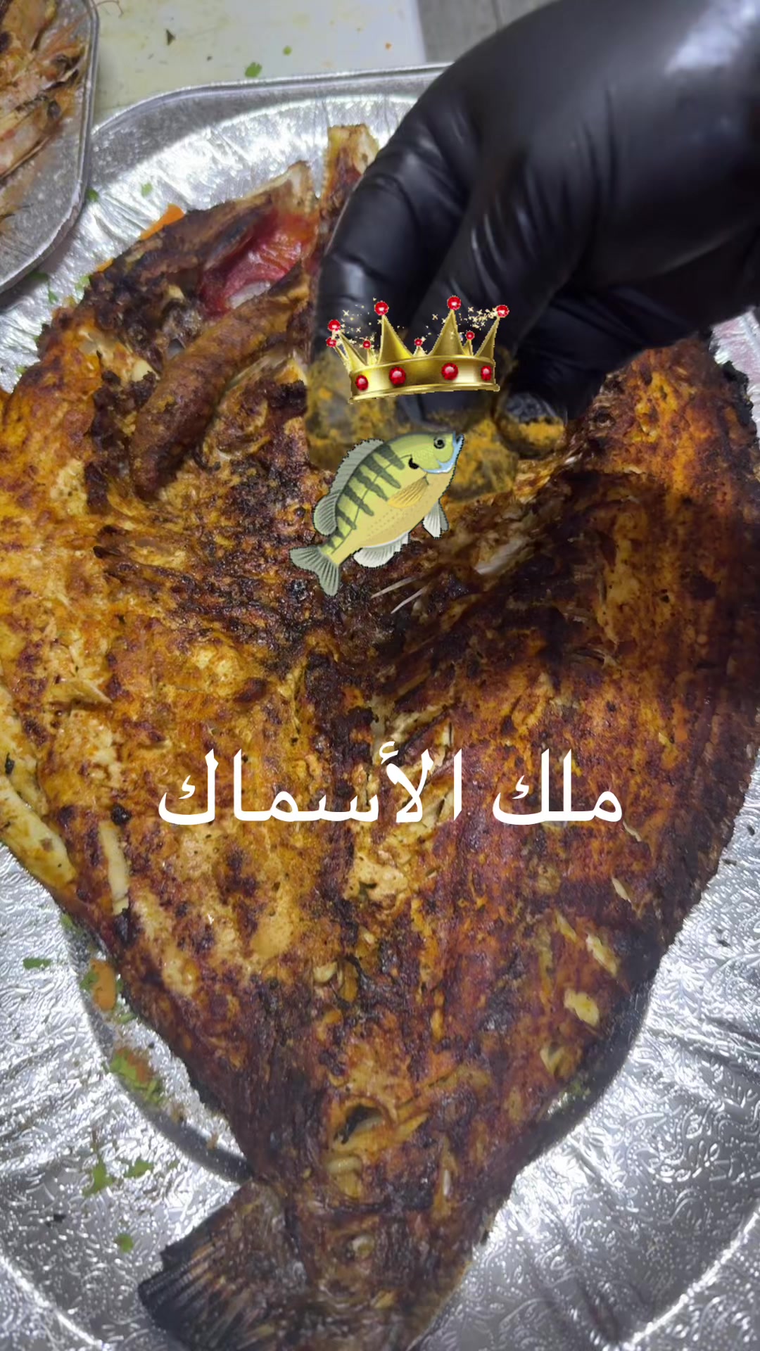 @KING FISH 🇴🇲 مـلـك الأســماك