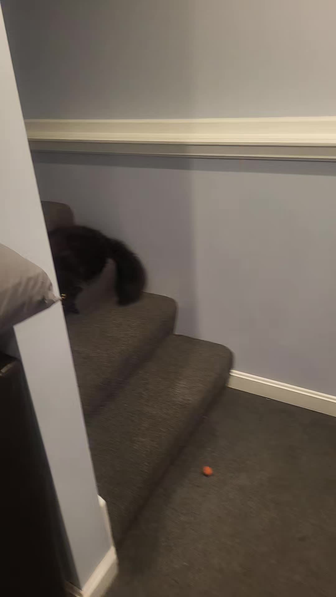 @Krystal Lea & Luna