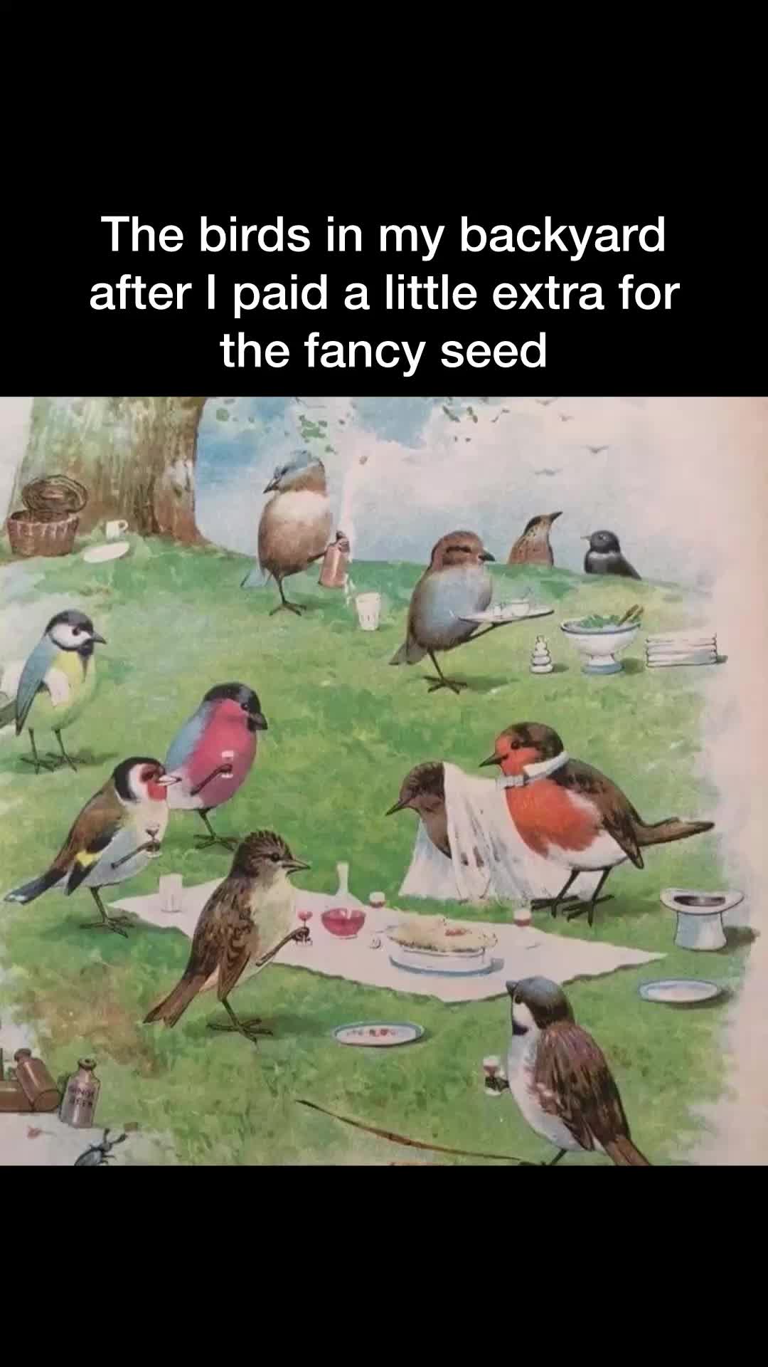 @middleclassfancy