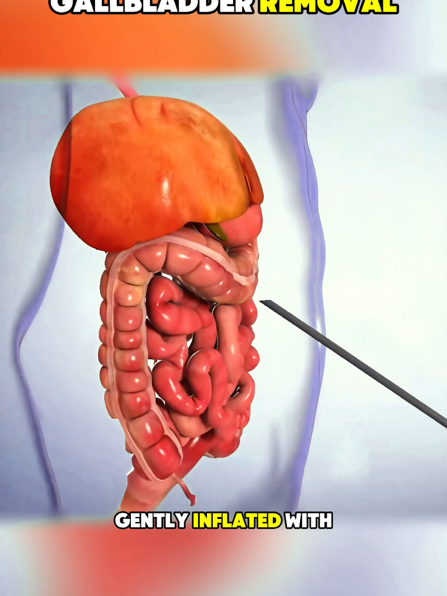 @HumanScope