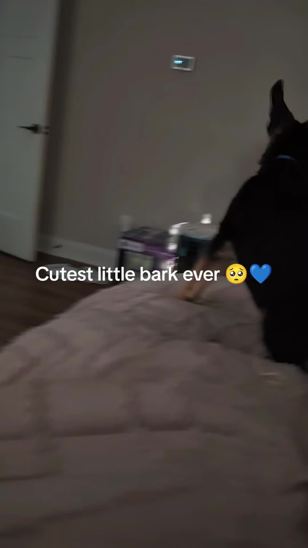 @Becca Wilkinson