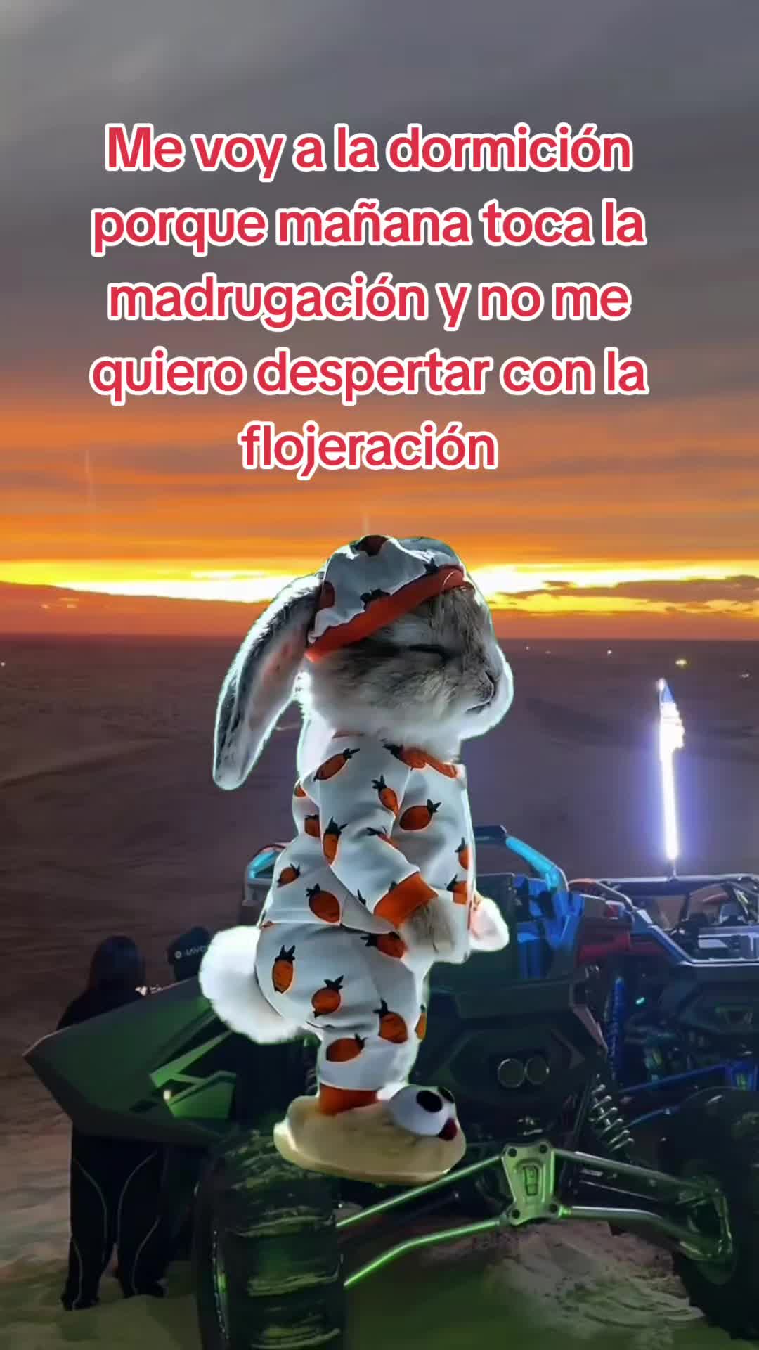 @🇲🇽🐦&zwj;⬛🪺VASQUEZ🚚🌪💎