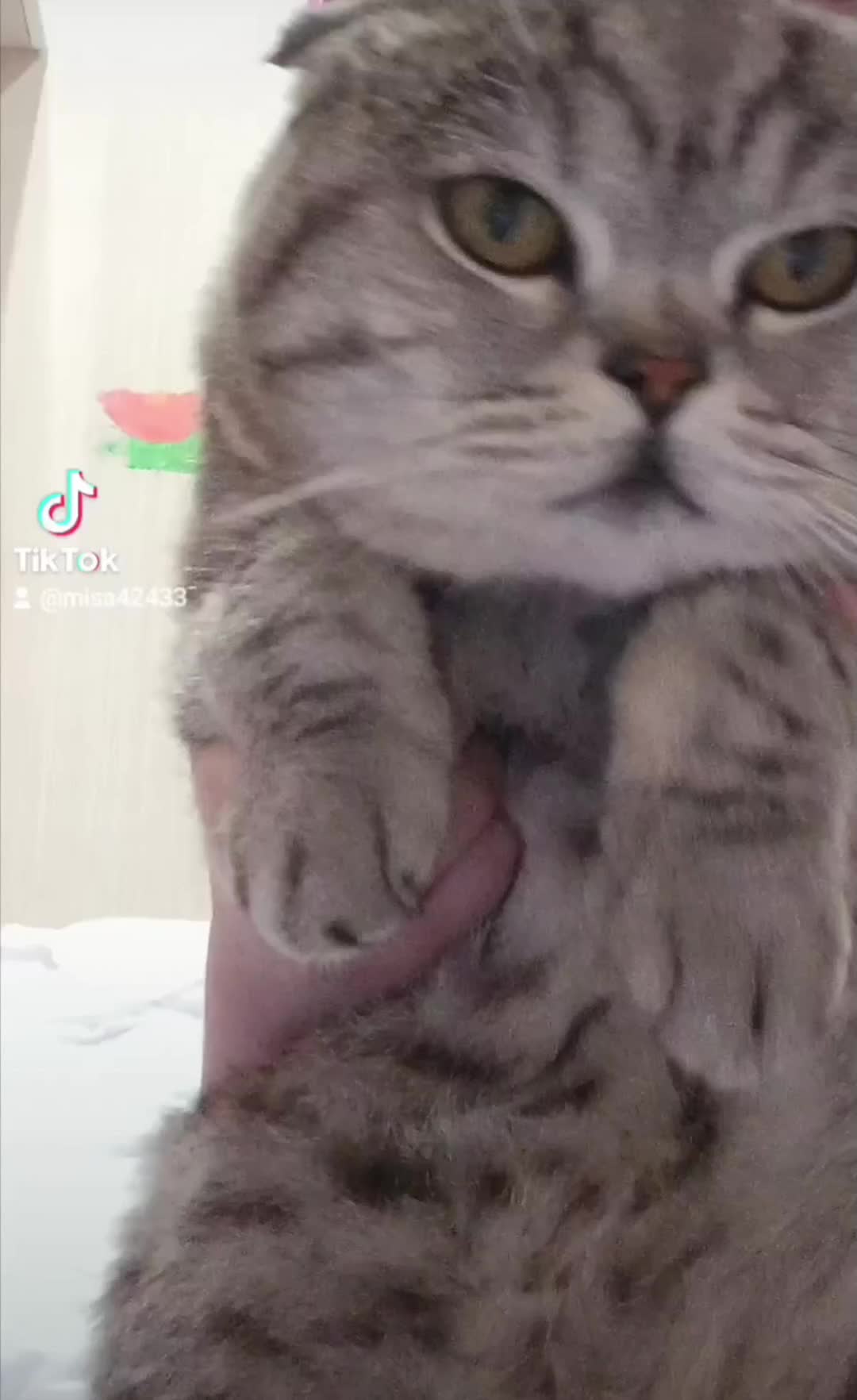 @c7rxq_