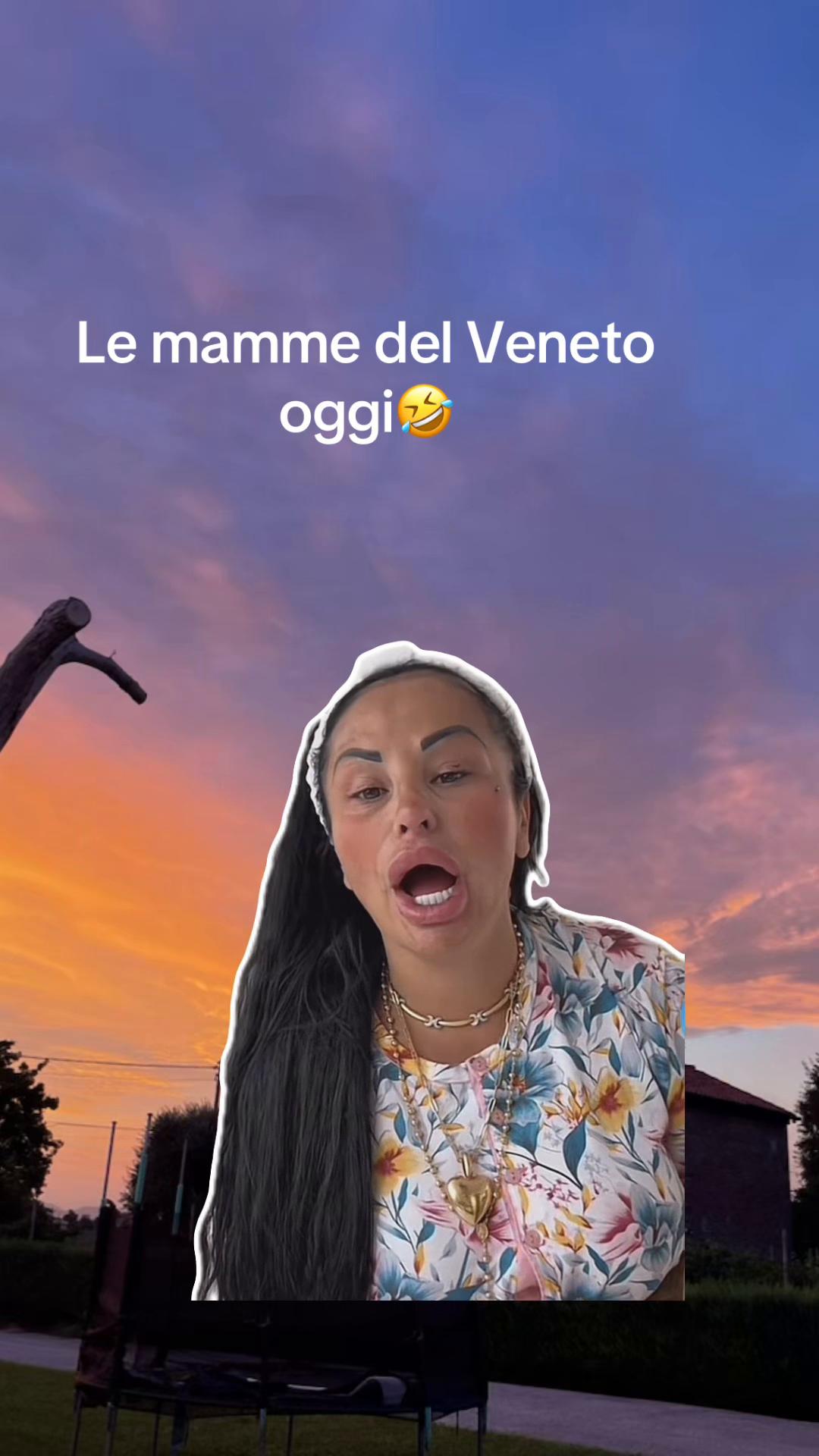 @Paola Gallo Cremonese