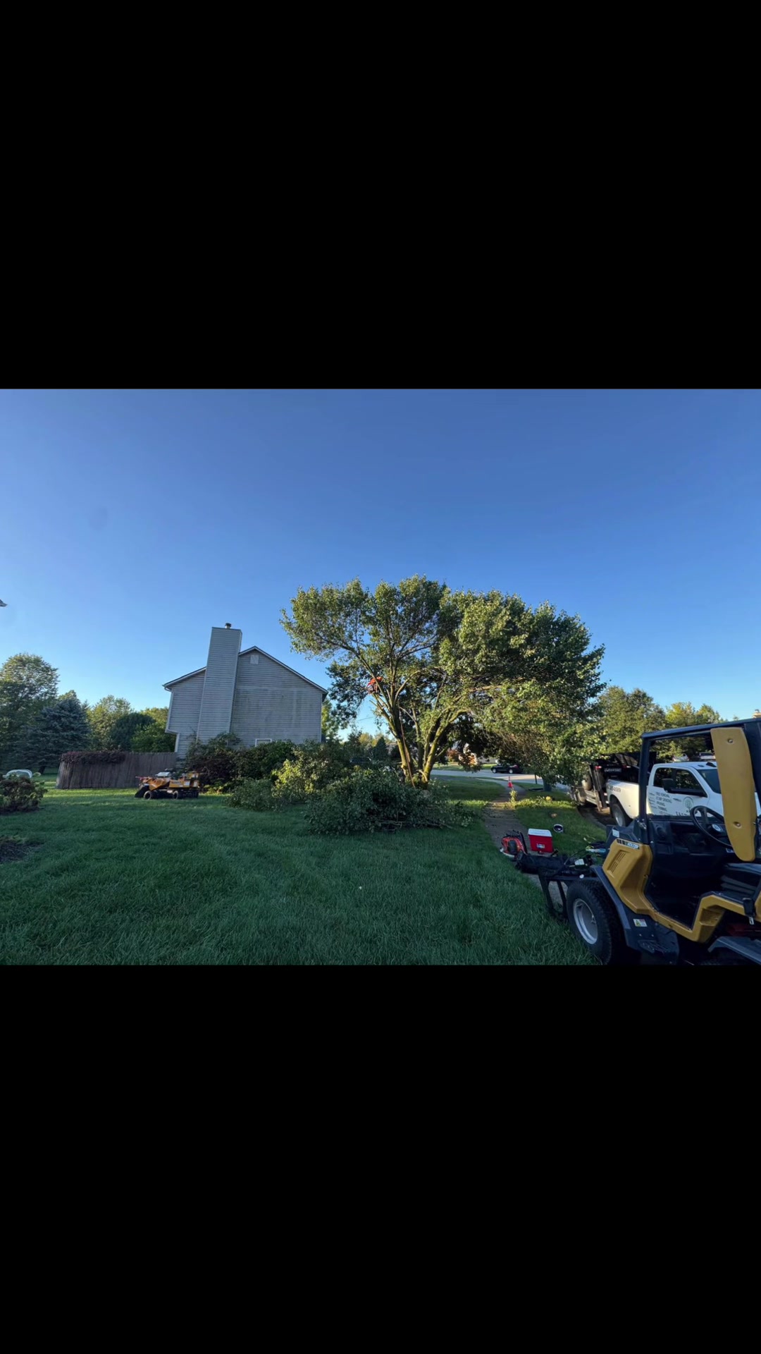@gotreeservices6