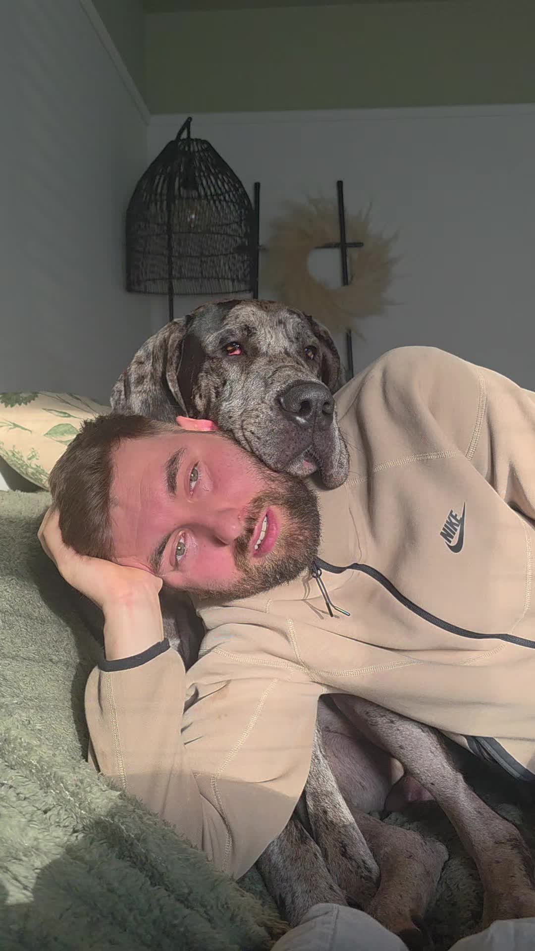 @Magnus the GREAT DANE