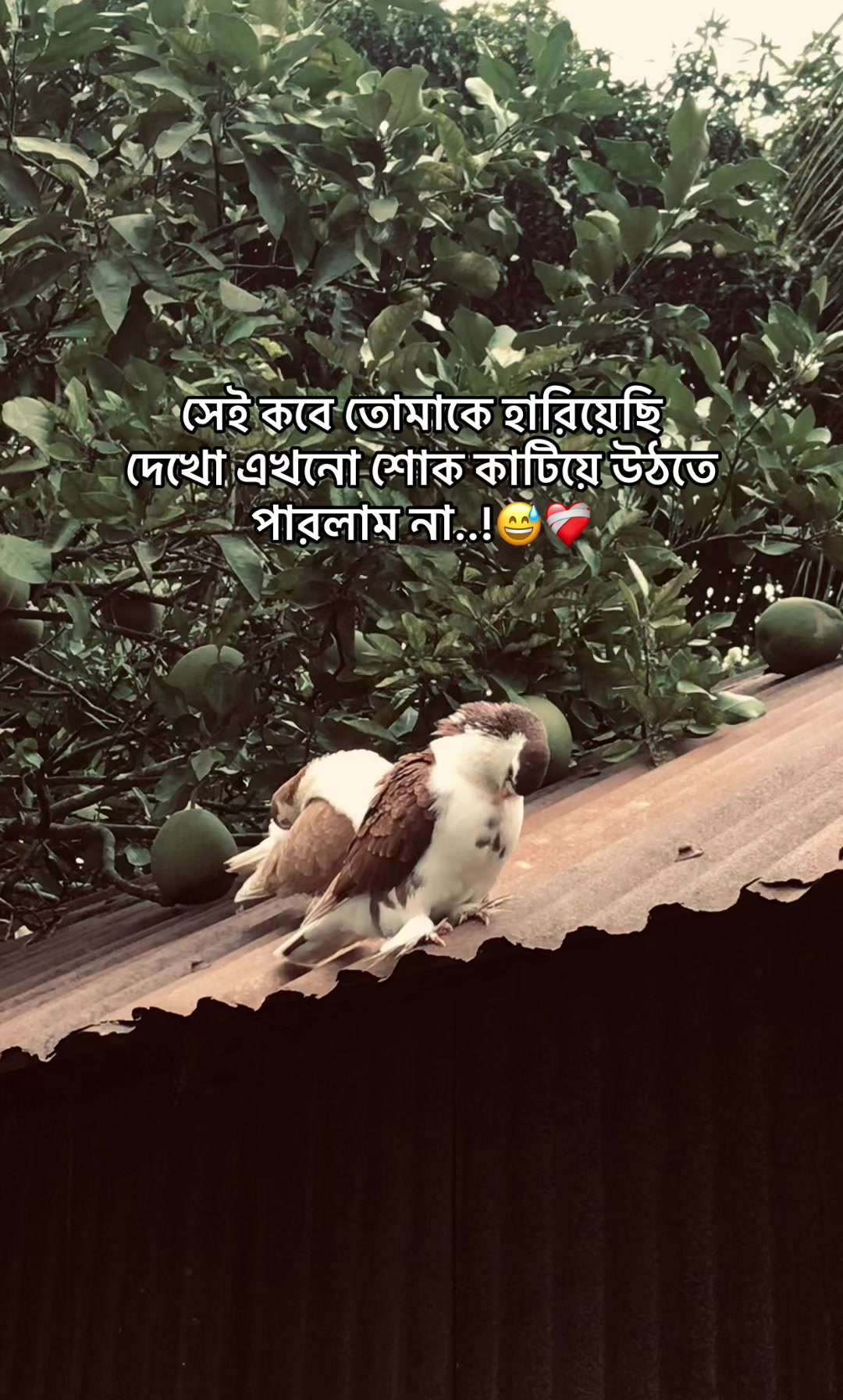 @the_spydoo🕸️ 🥏