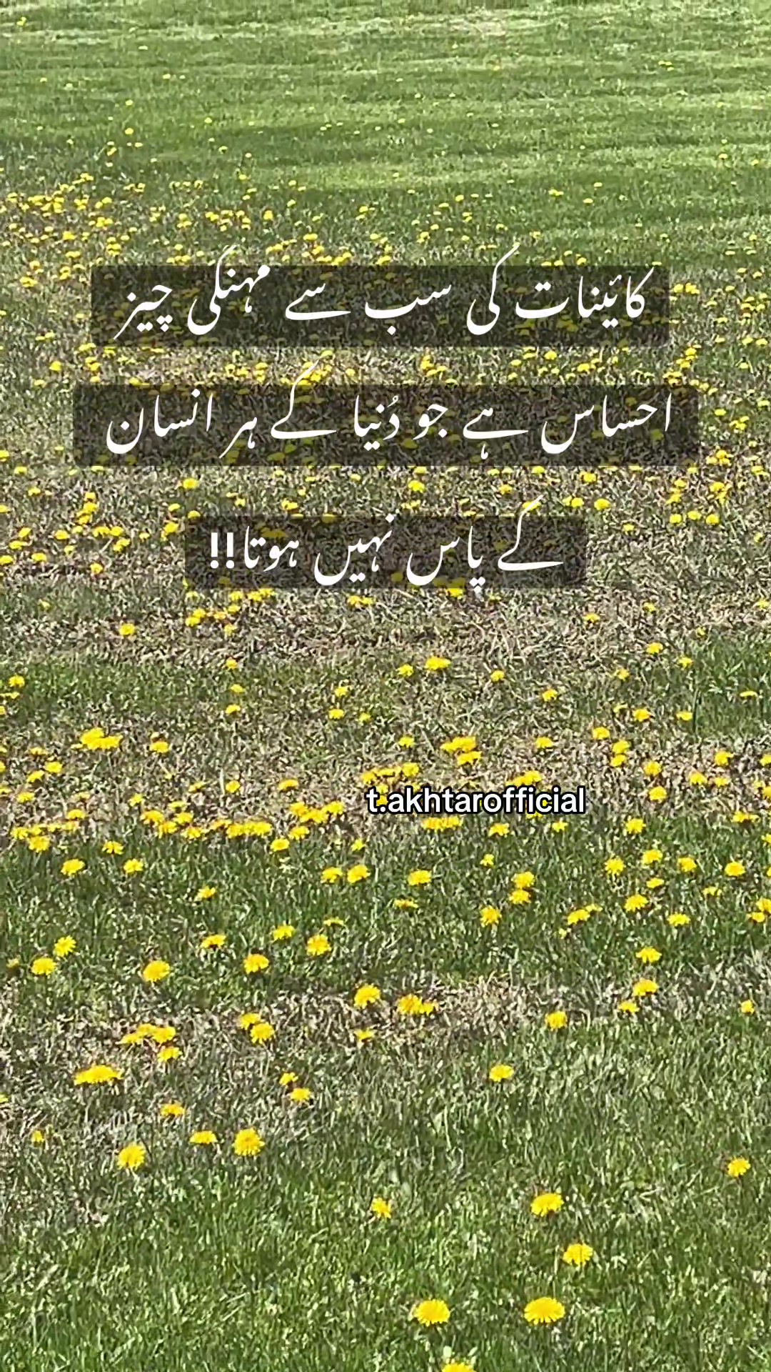 @T.Akhtar Official